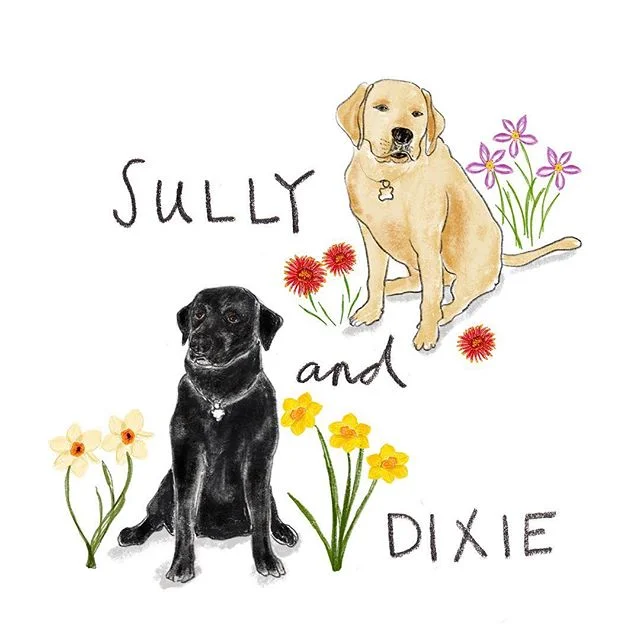Finished piece! The flowers represent where Sully and Dixie were born. I love these dogs!
.
.
.
.
.
.
.
#illustratingmy2018 #illustration #illustrator #&ccedil;izim #drawing #sketch #thedesigntip #illustratorsoninstagram #yellowlabrador #labs #dog #k