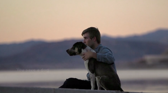 Pedigree - Case First Days Out