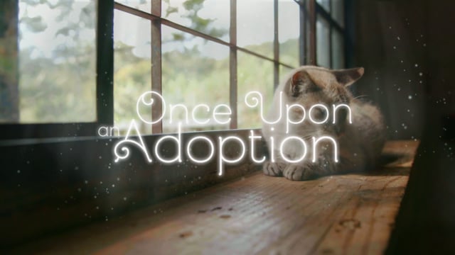 Whiskas - Once Upon an Adoption