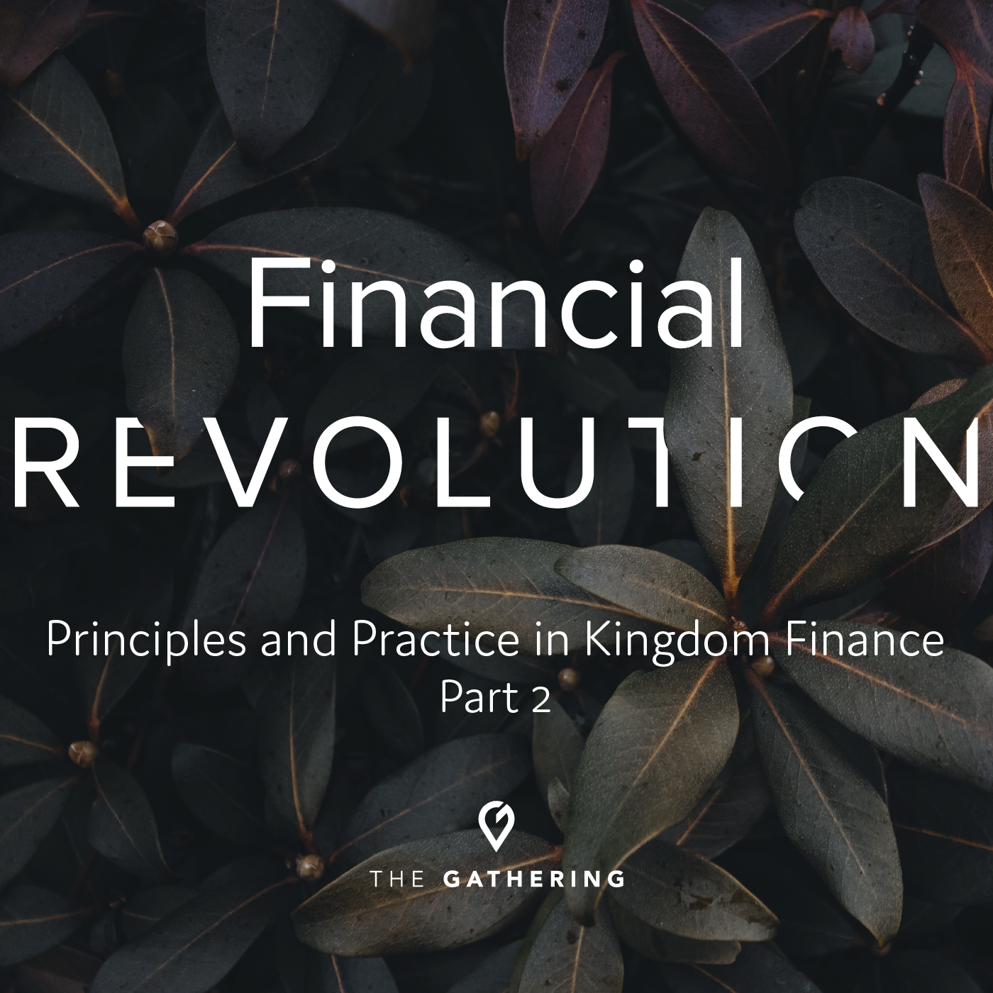Financial PART 2 (Podcast)-02.png