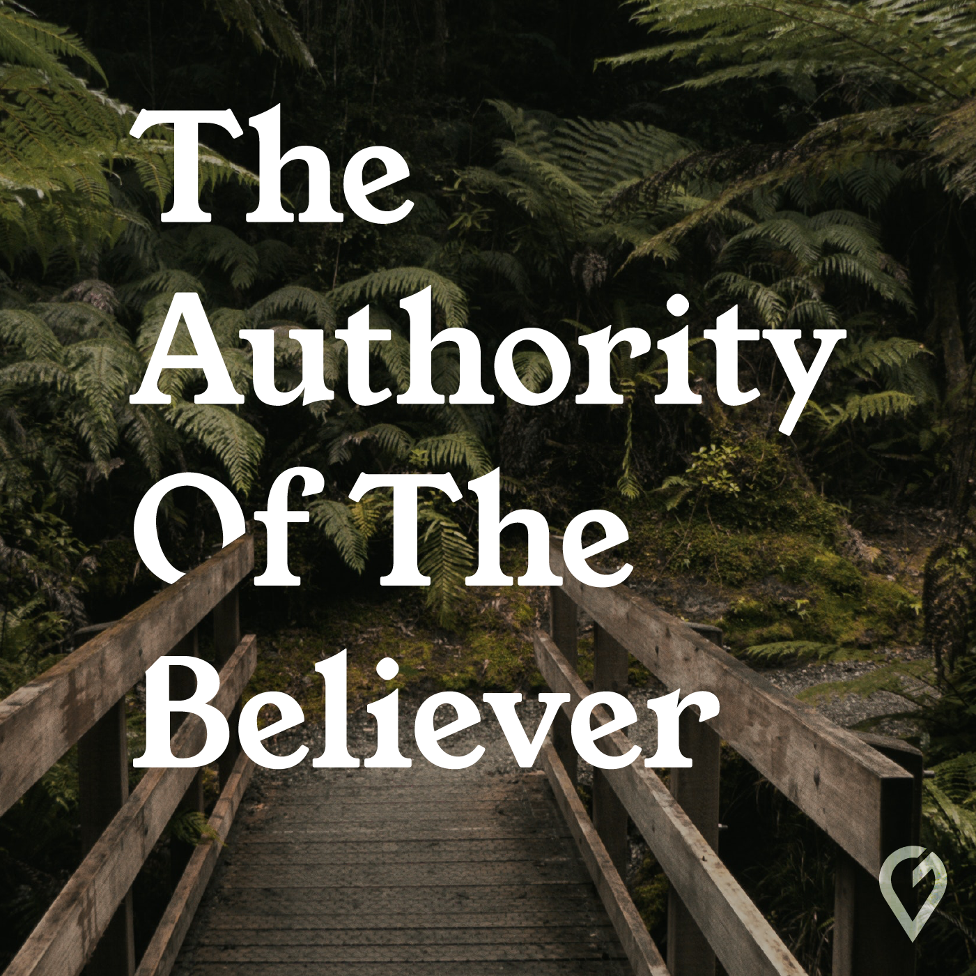 AUTHORITY WEB COVER-02.png