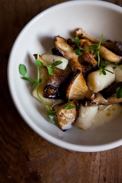 GNOCCHI