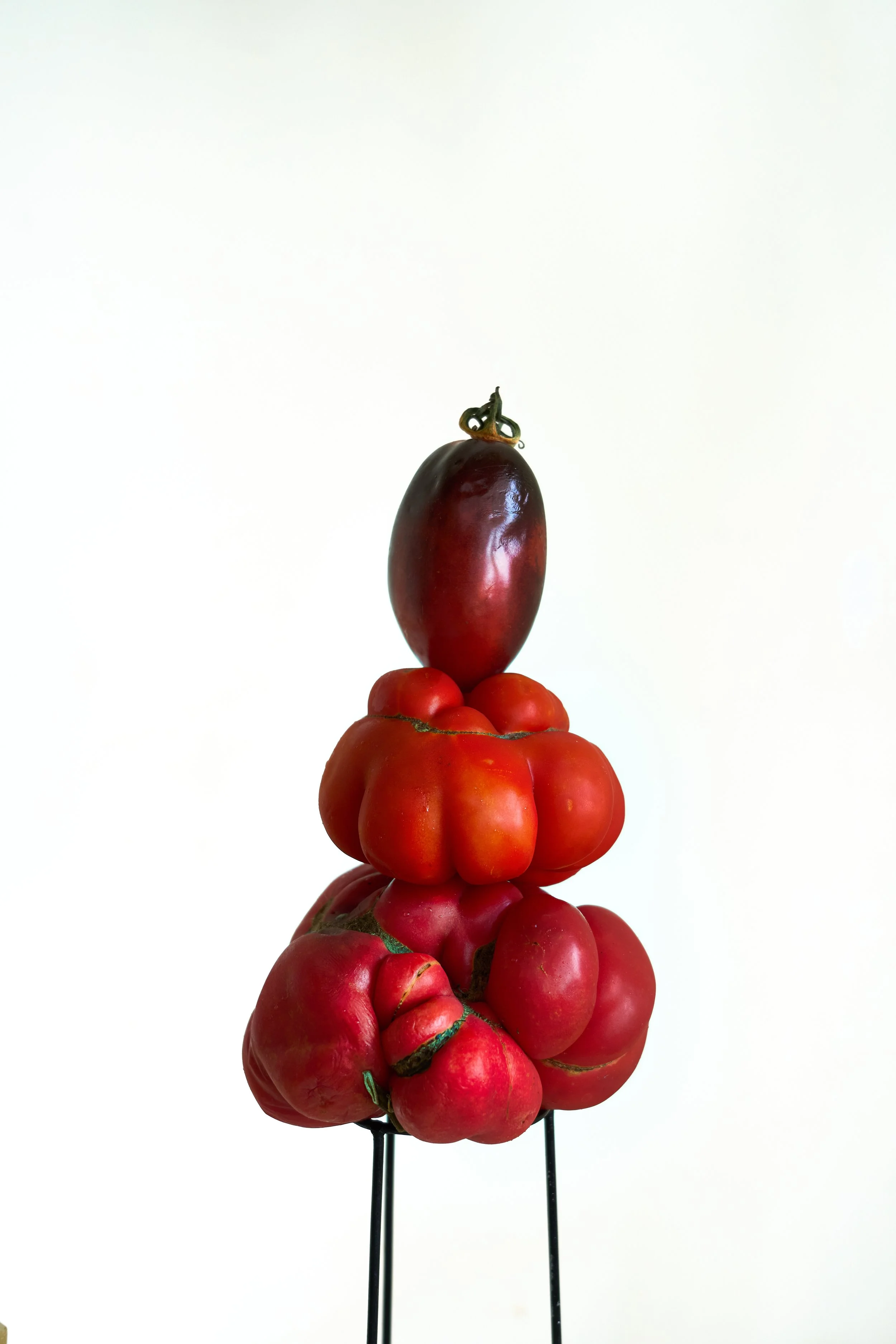 tomato still life.jpeg