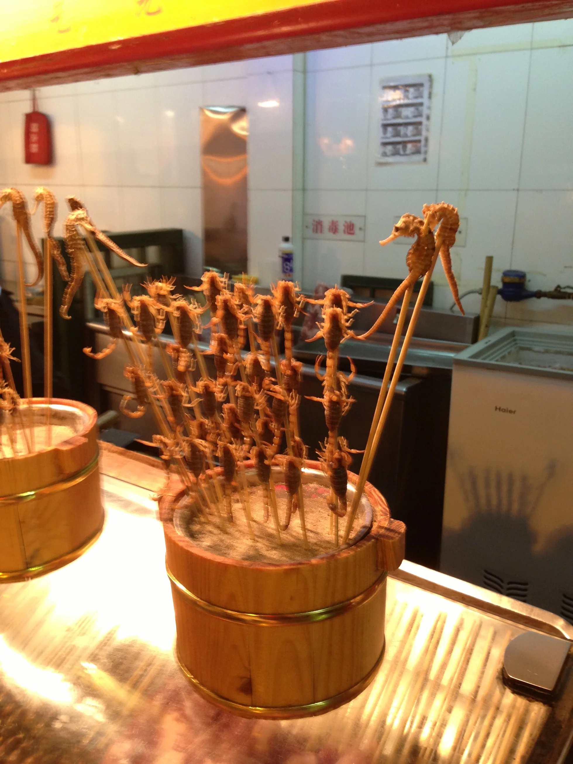 The Exotic Food of China – No. 5