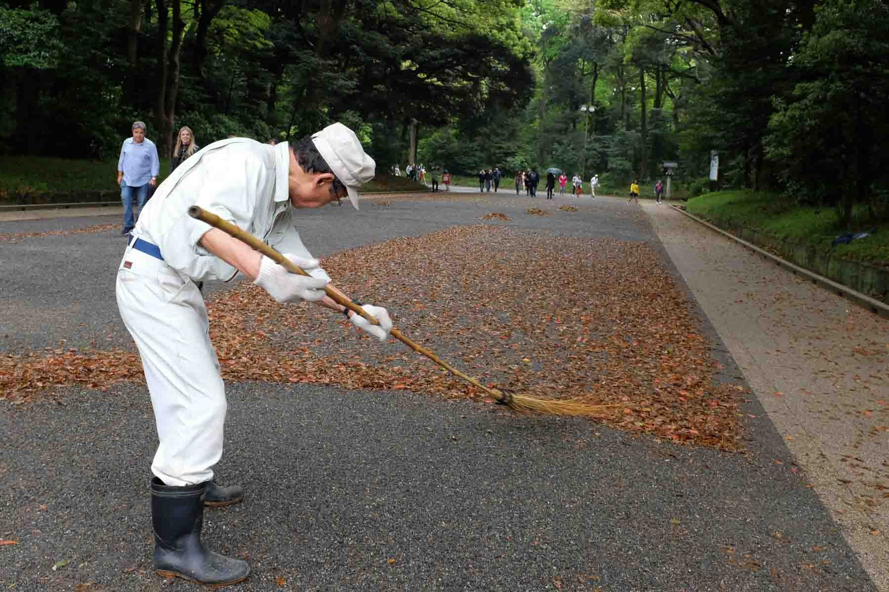  A japanese temple gardener sweeps fallen leaves with meticulous technique 