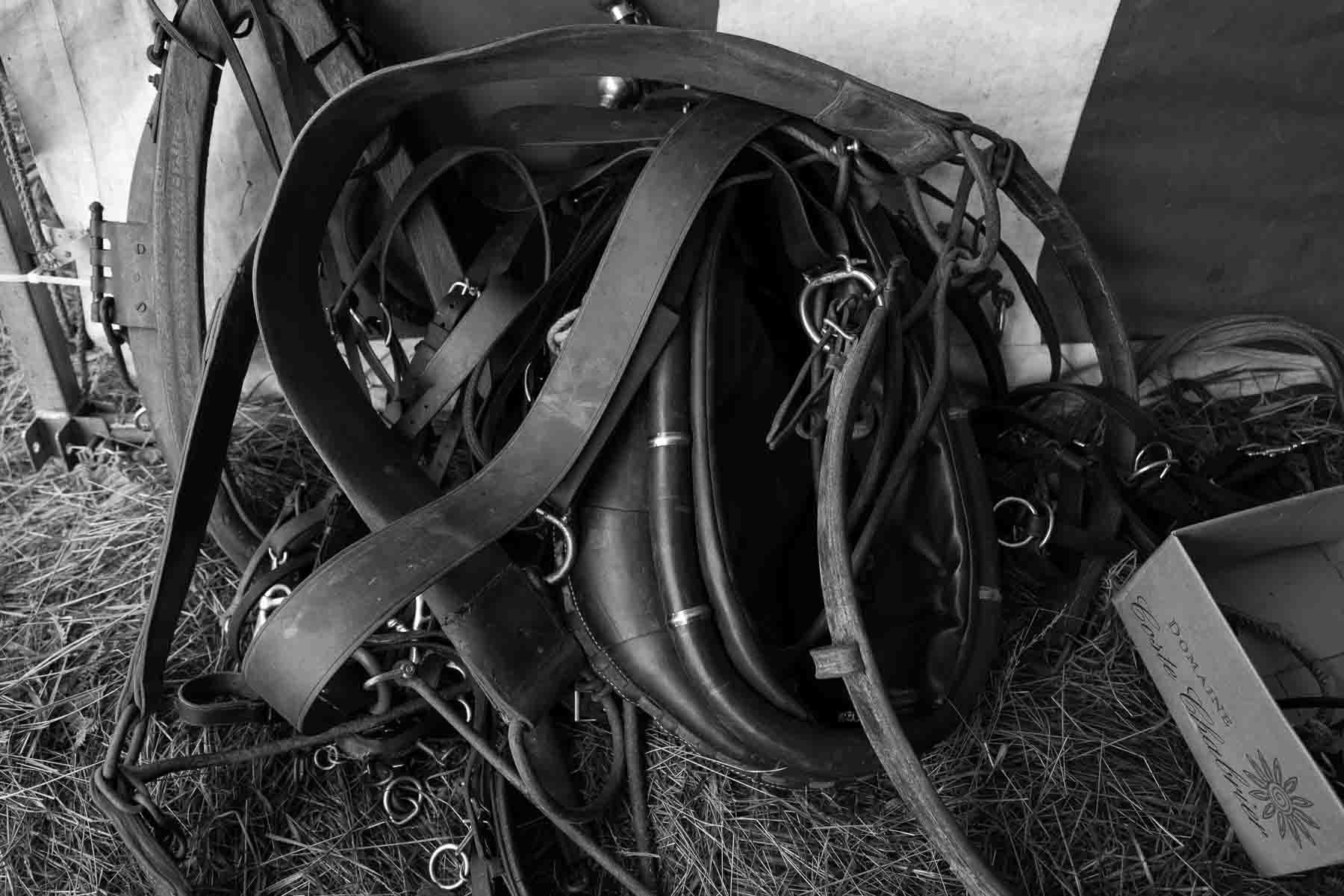 03_1414-0007.jpg