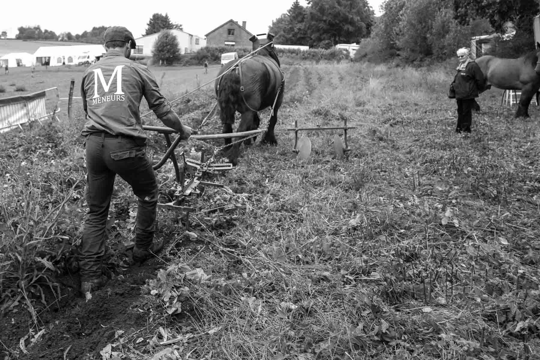19_1414-0061.jpg