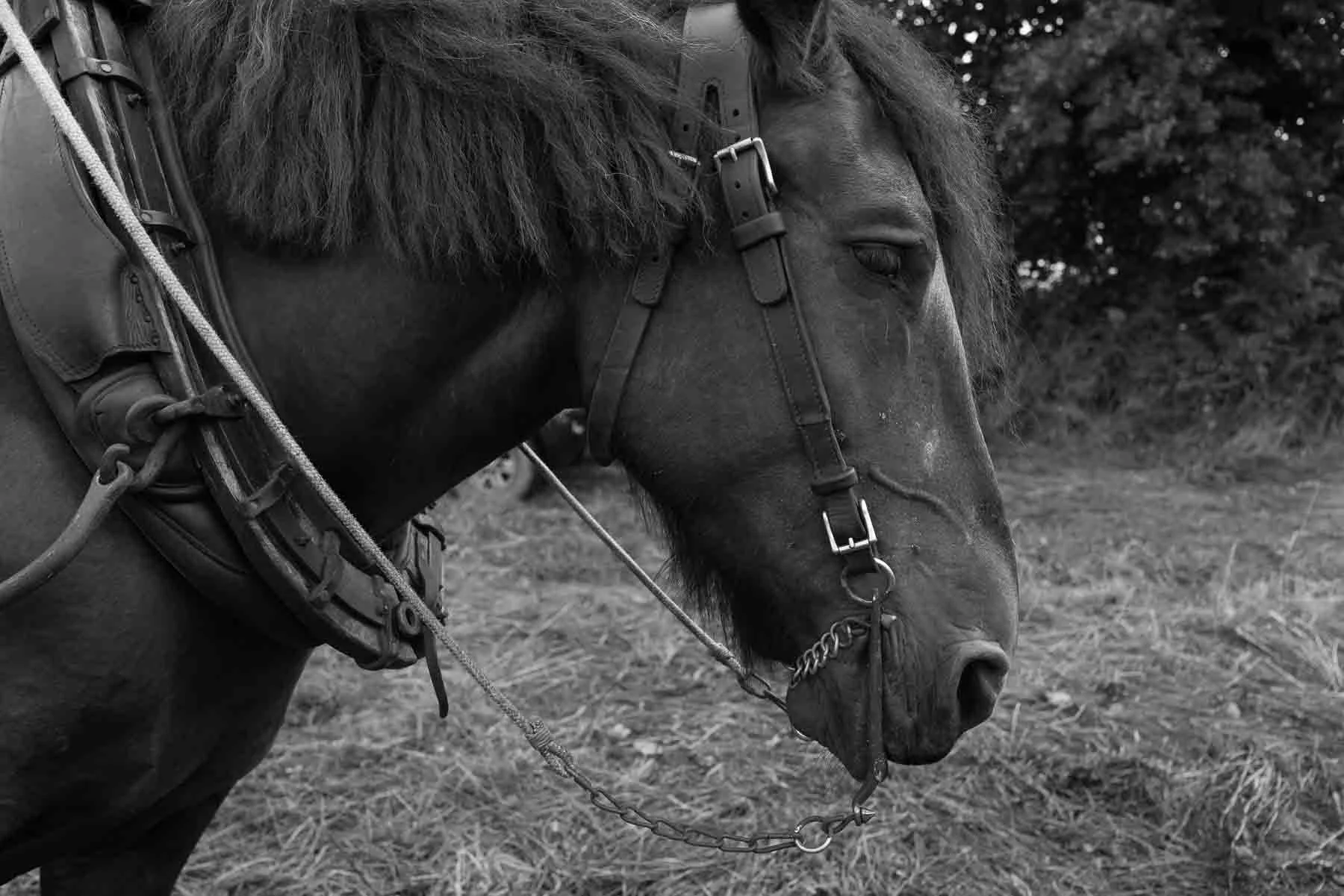 36_1414-0119.jpg