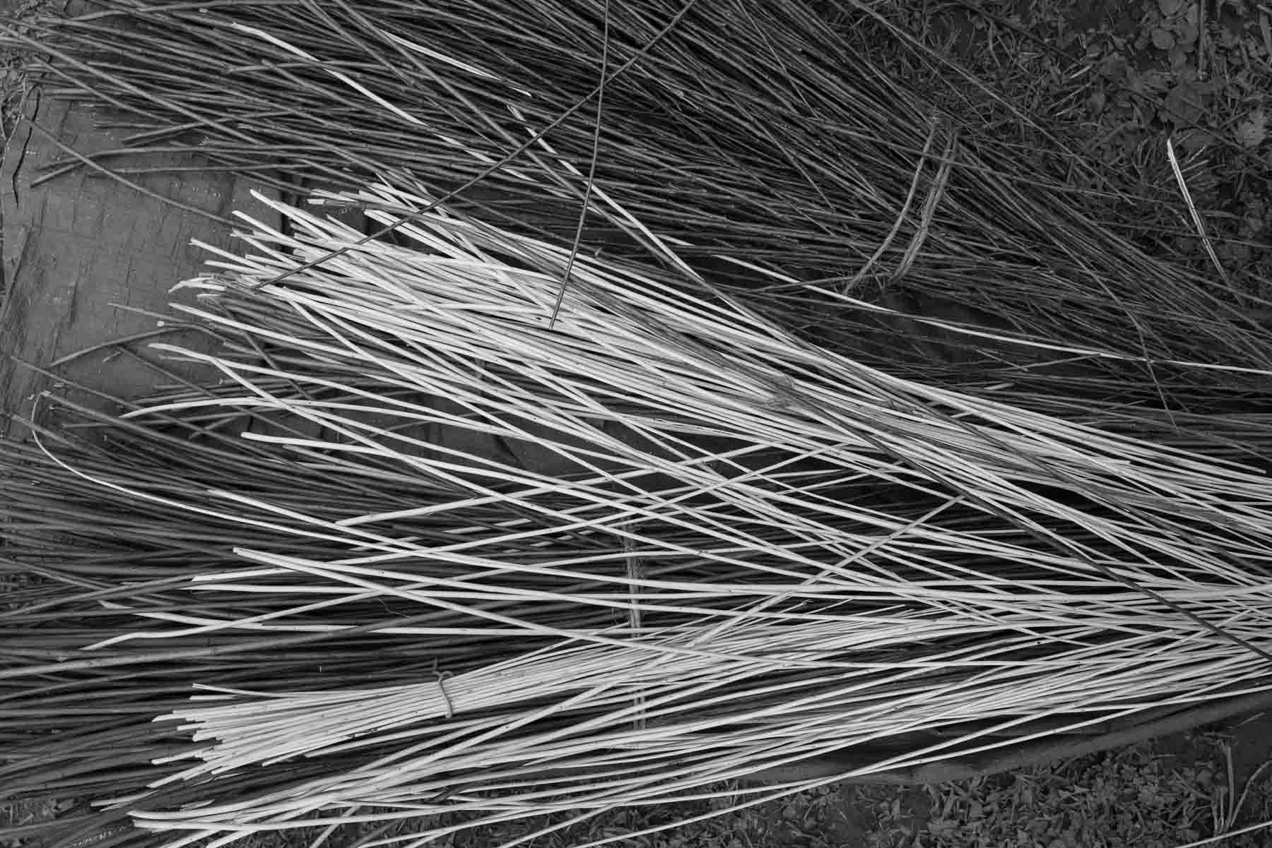 68_1414-0237.jpg