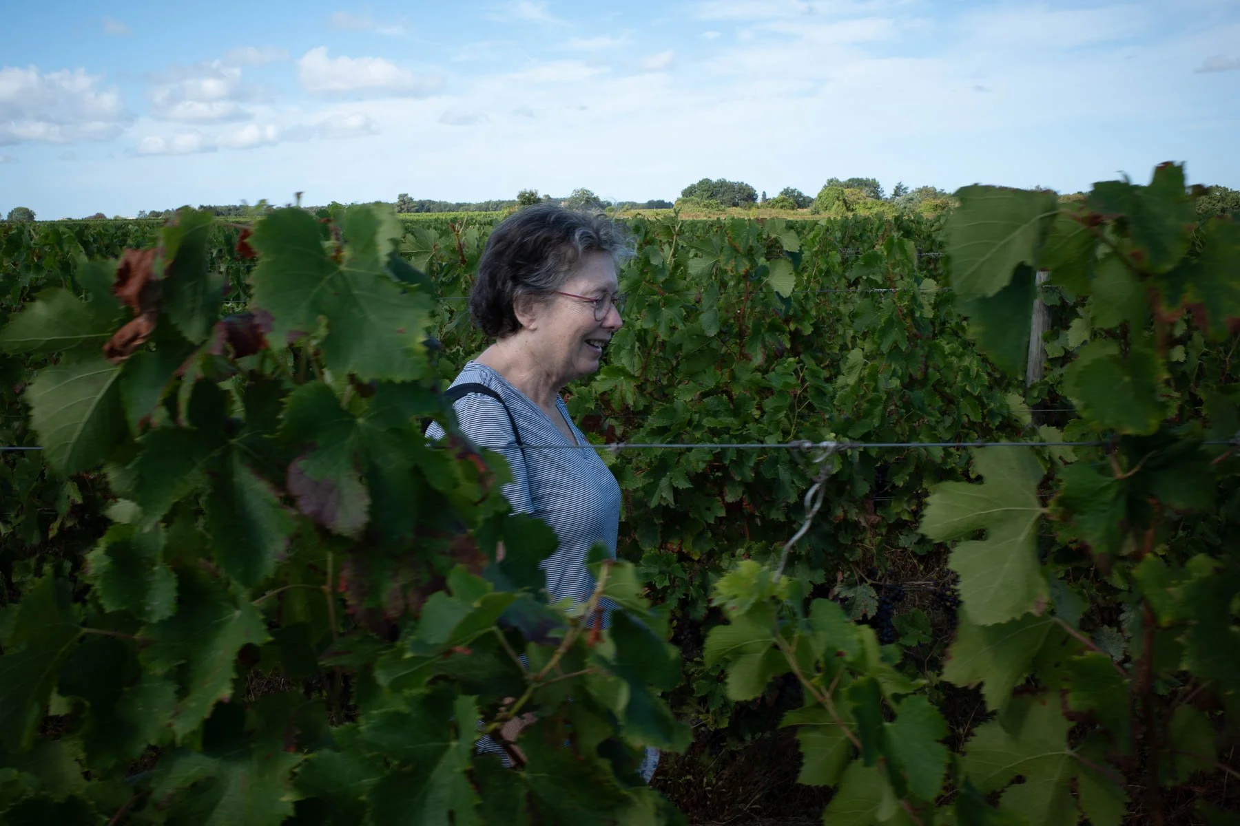  Walking through vineyards to visit  Montaigne's chateau  