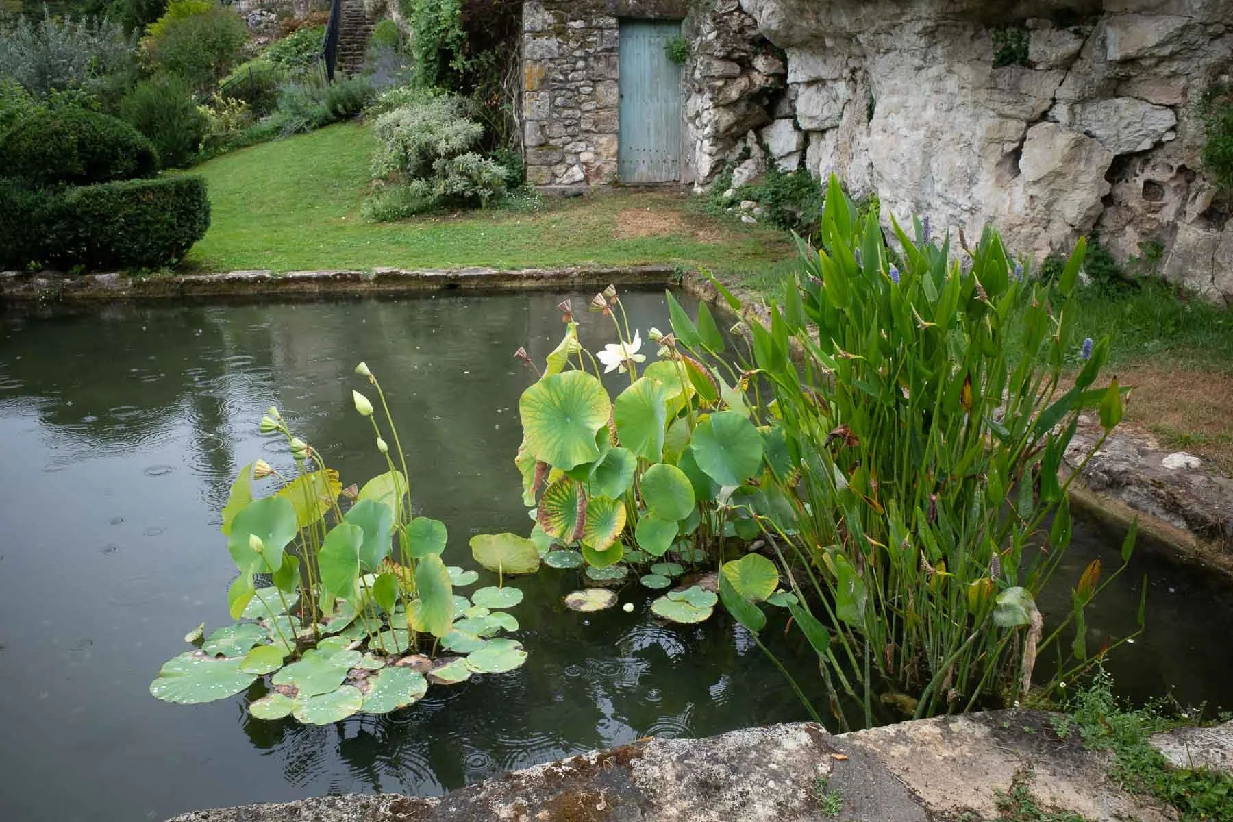  Jardins de Sardy 