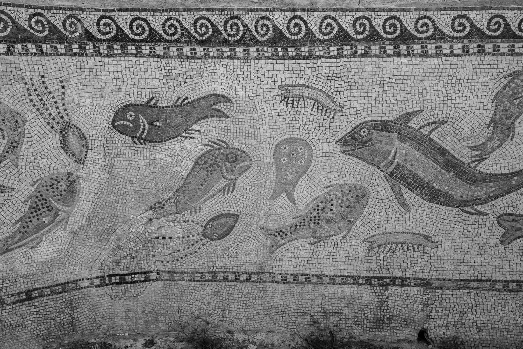 152_1699-0046.jpg