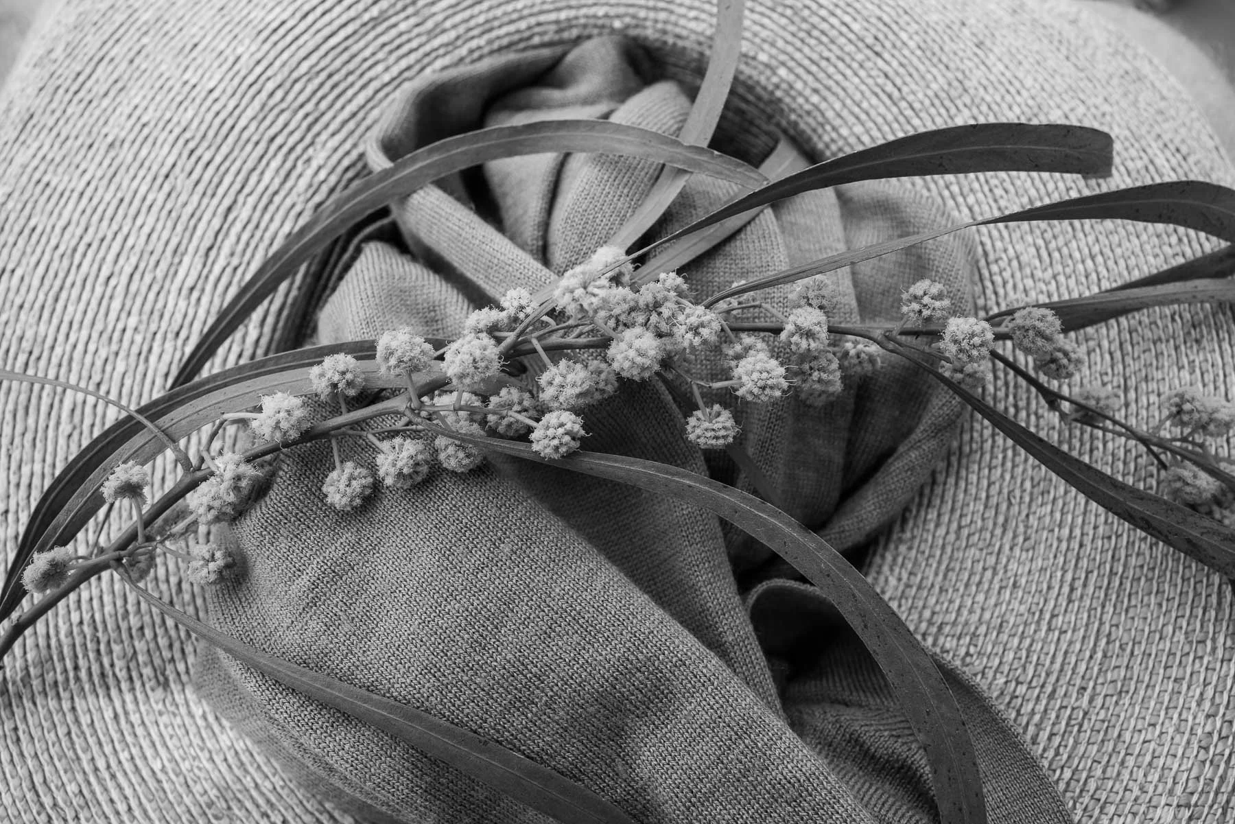 167_1699-0091.jpg