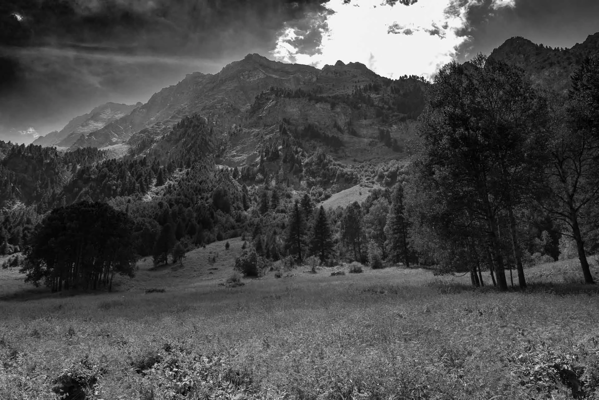  Valley in the Hautes-Alpes 