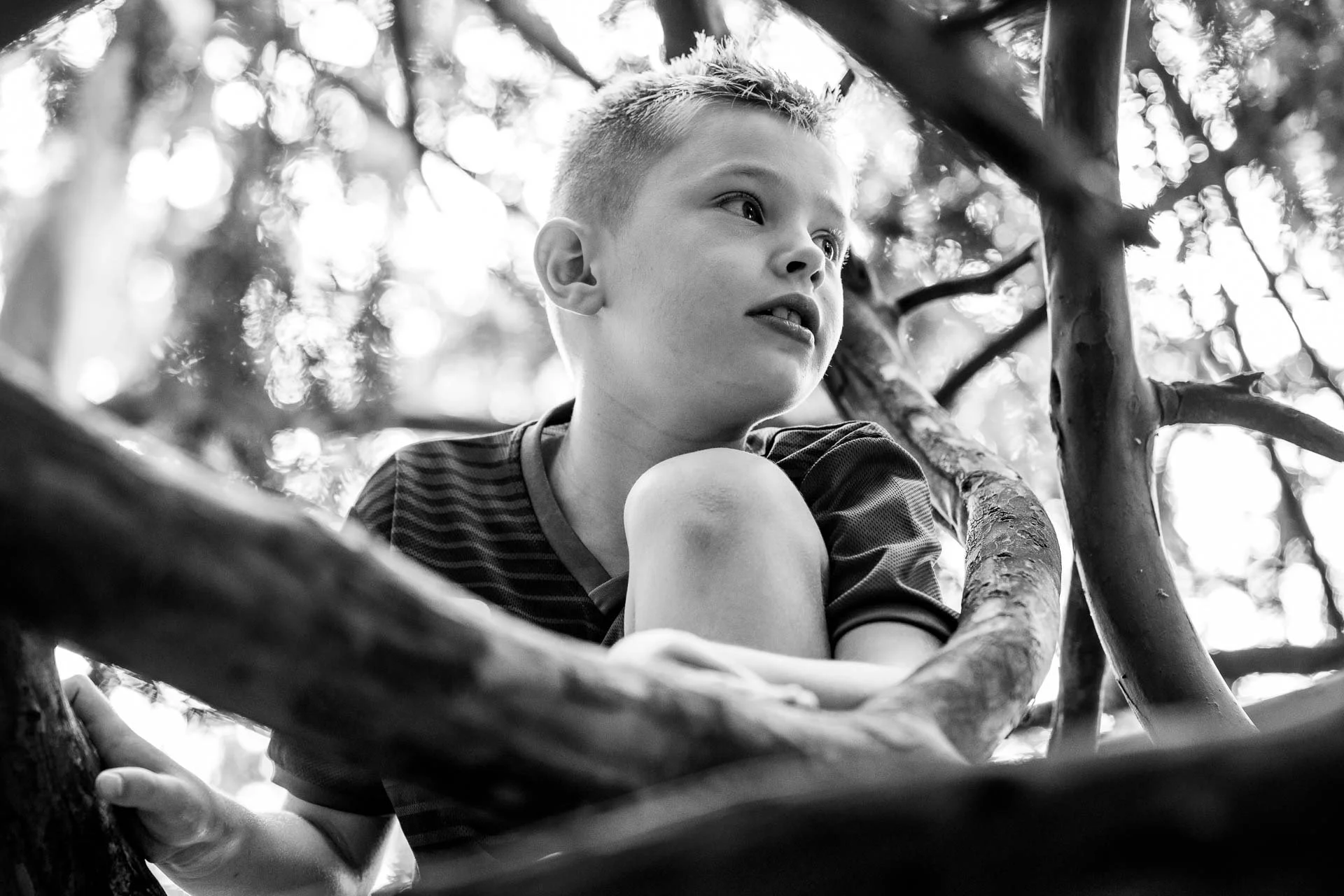  Children love to climb trees 