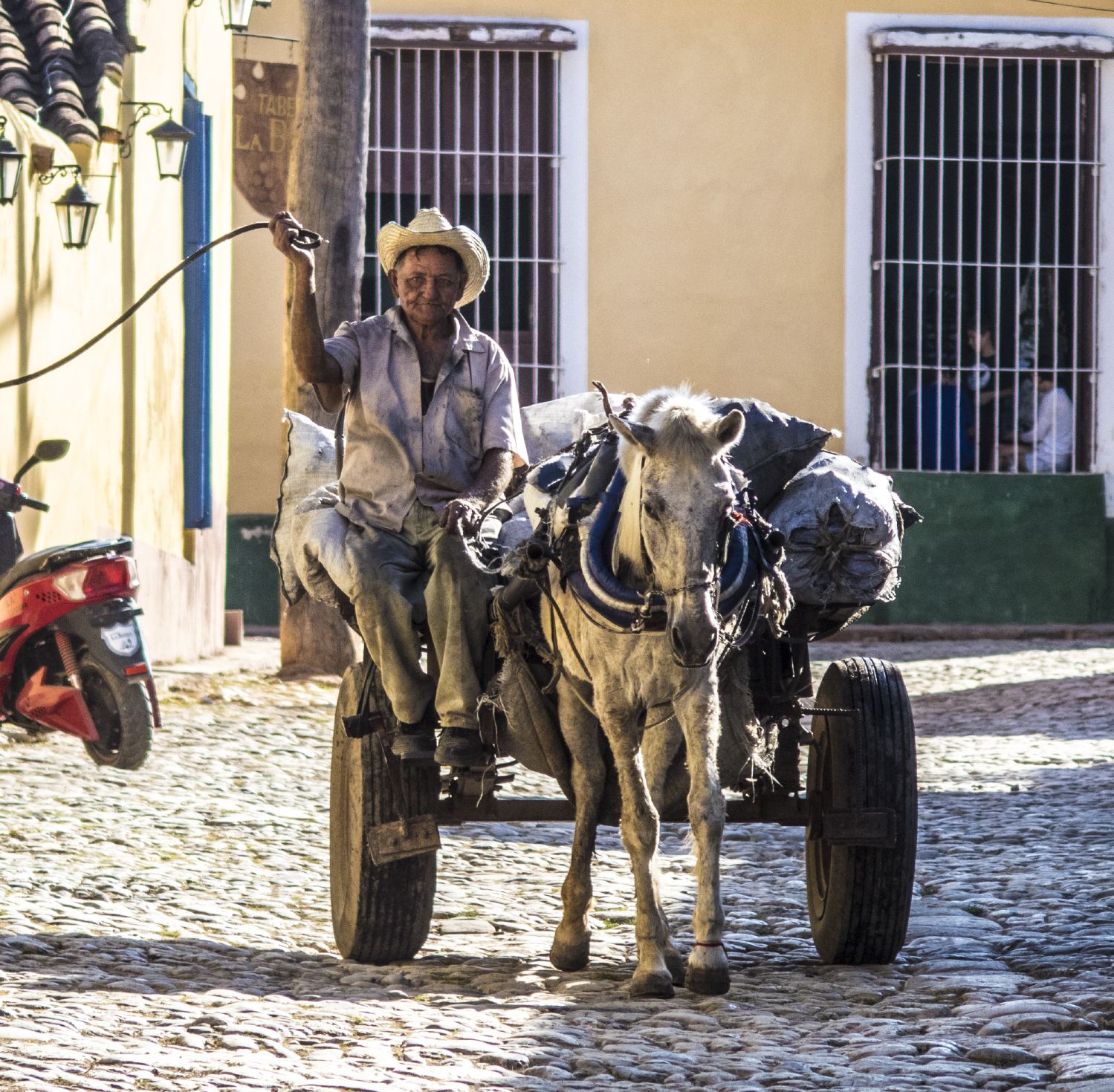 horse-carriage-cuba-michael-benabib-travel-photo.JPG