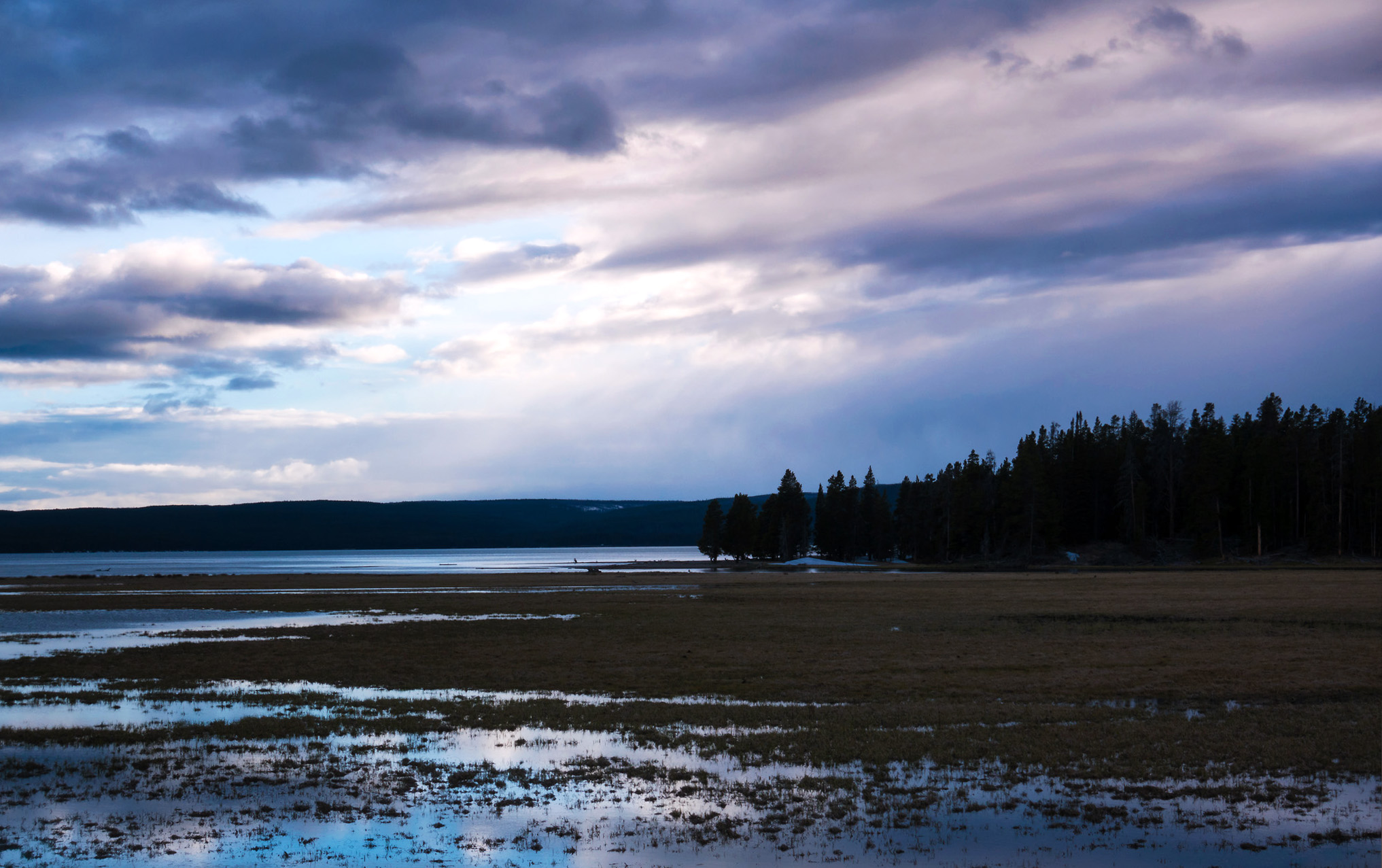 Pelican Creek