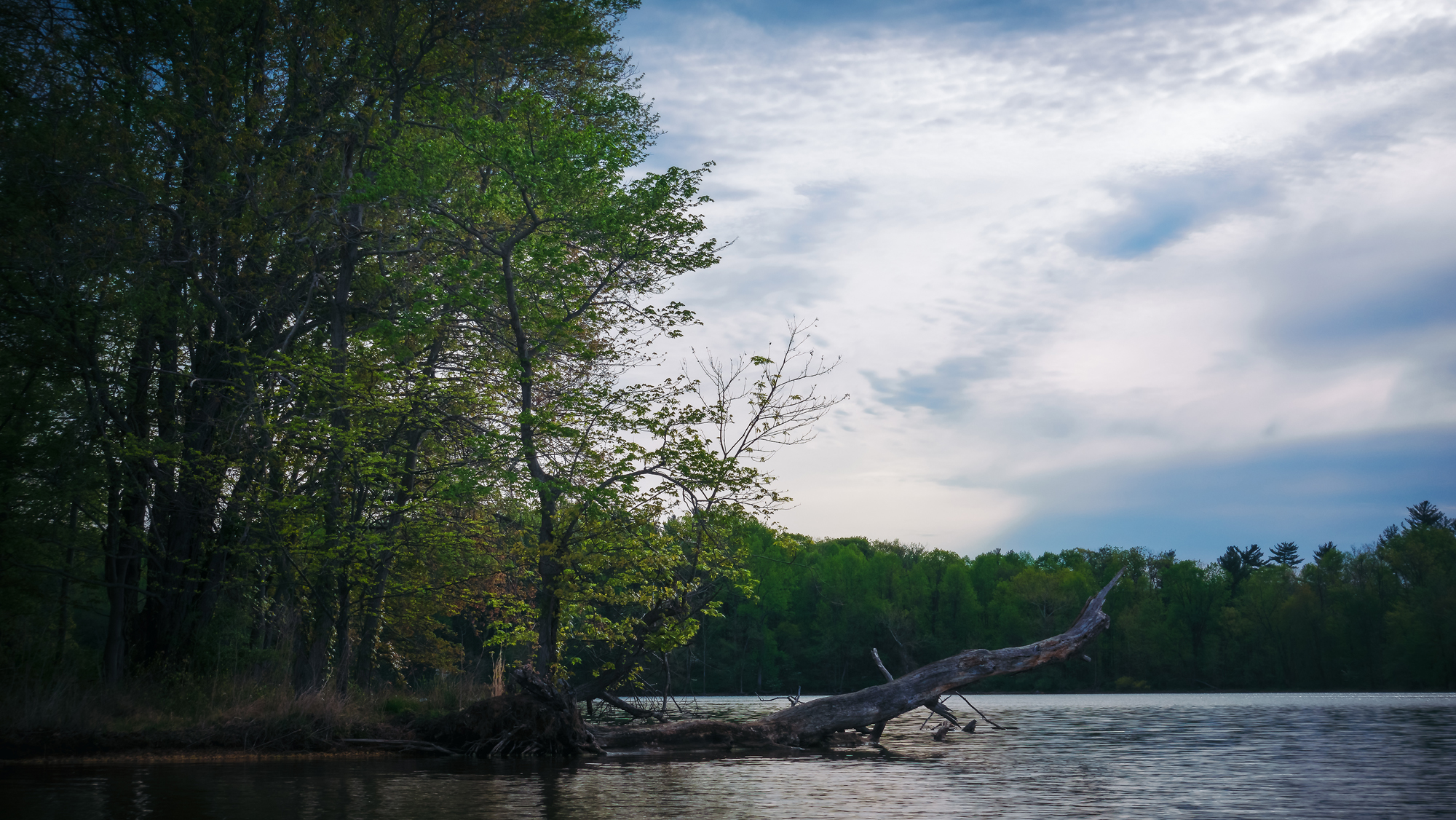 Loch Raven