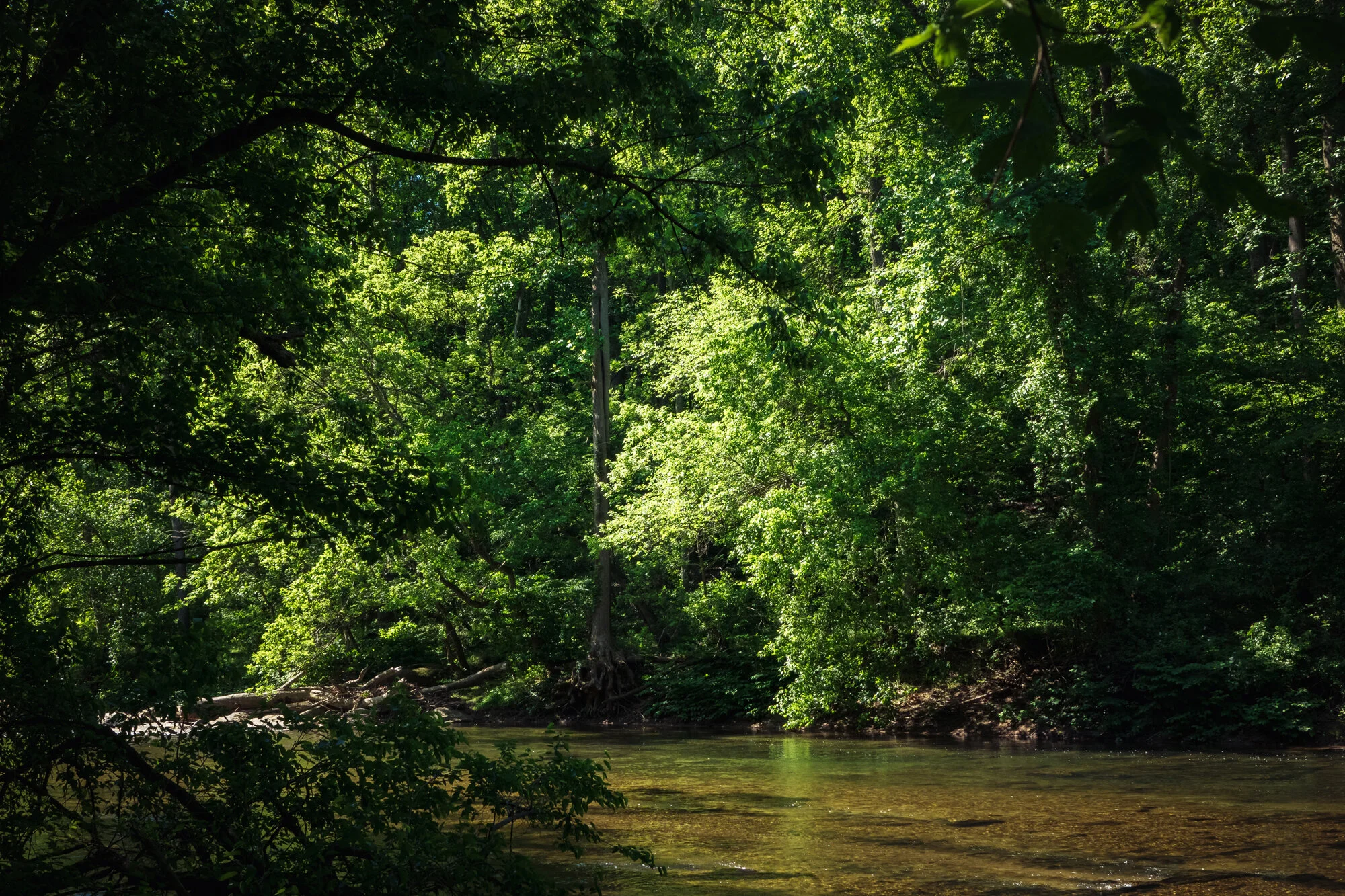 Gunpowder River