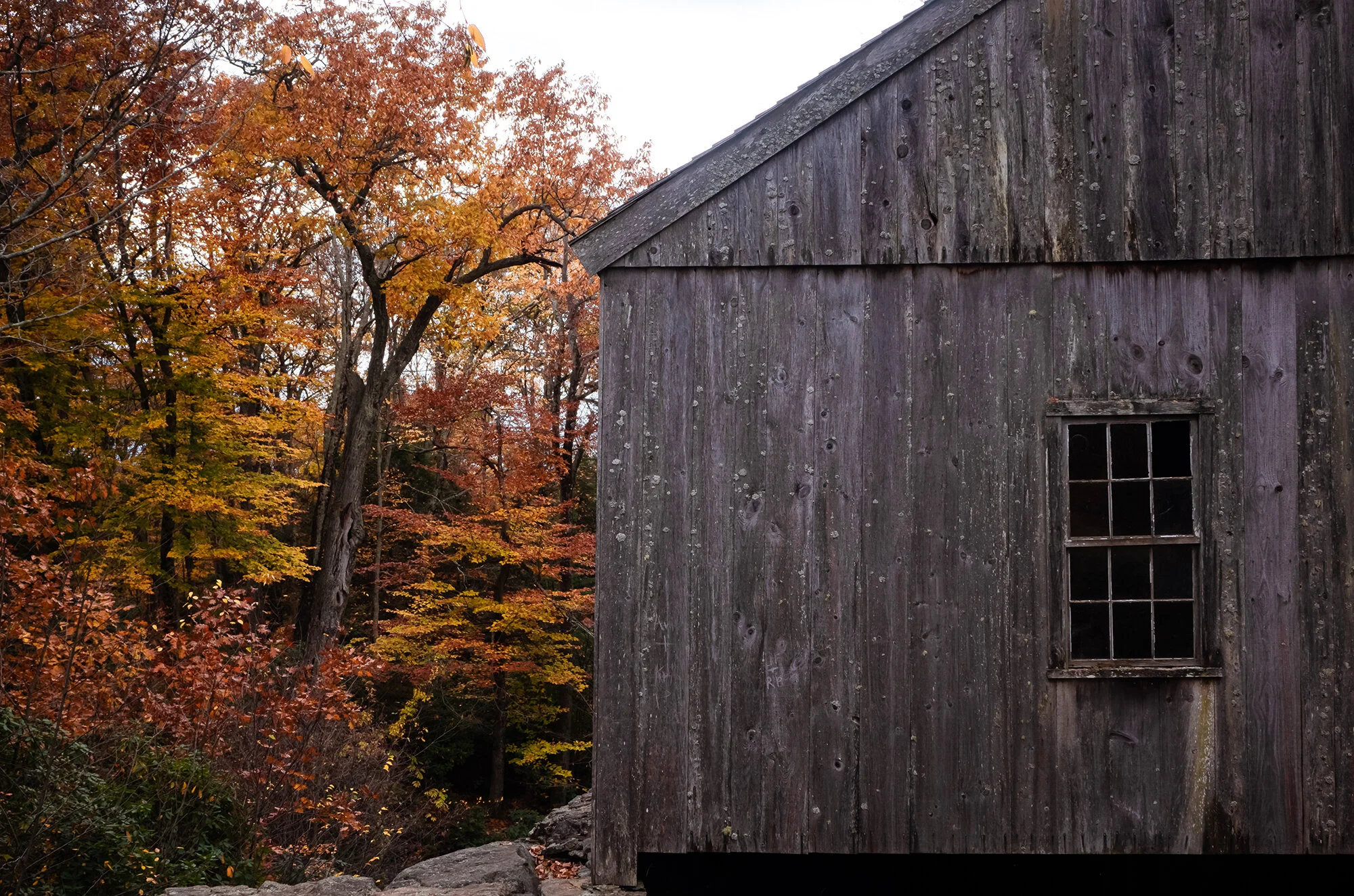 Moore State Park