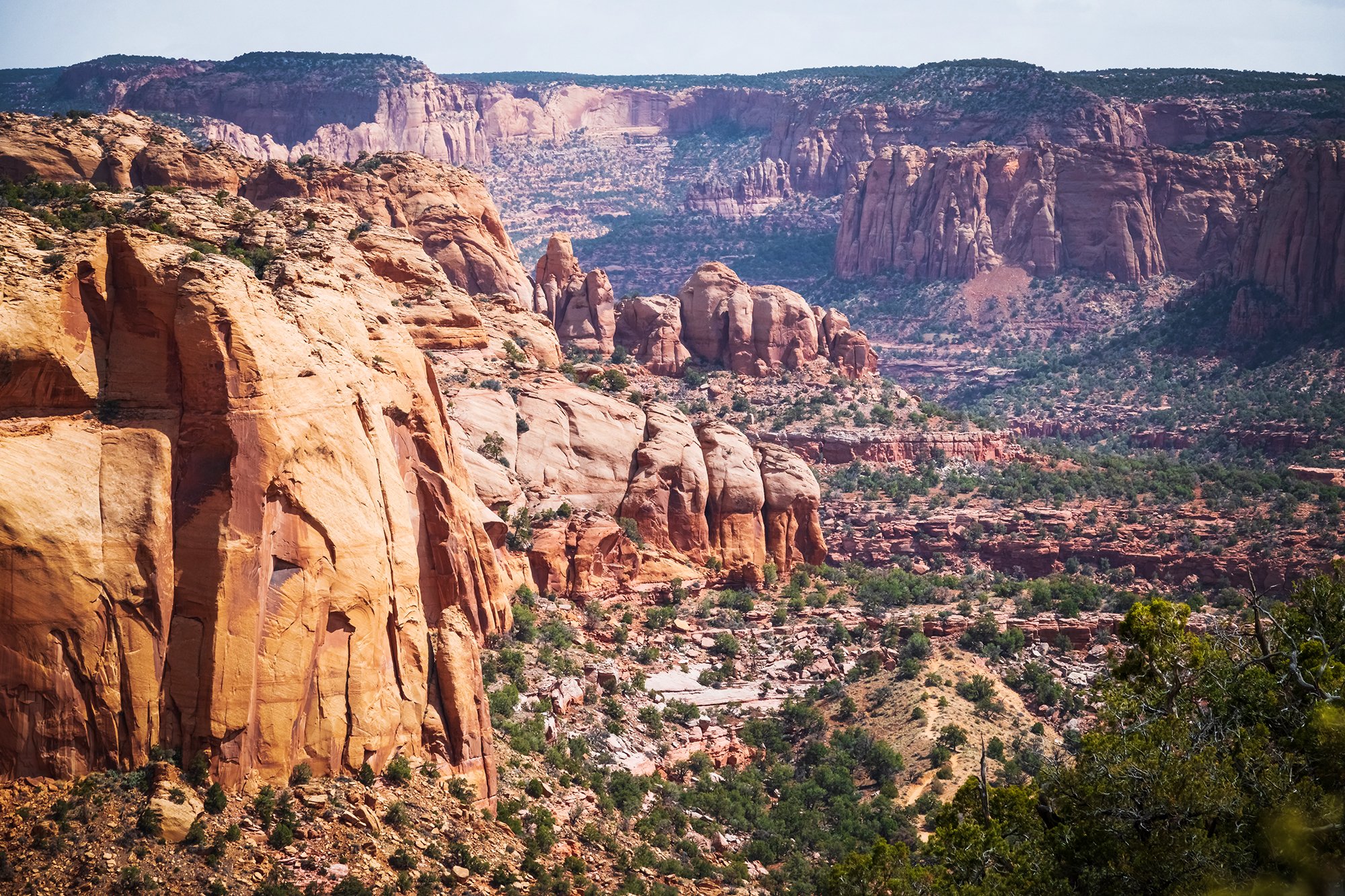 Navajo National Monument