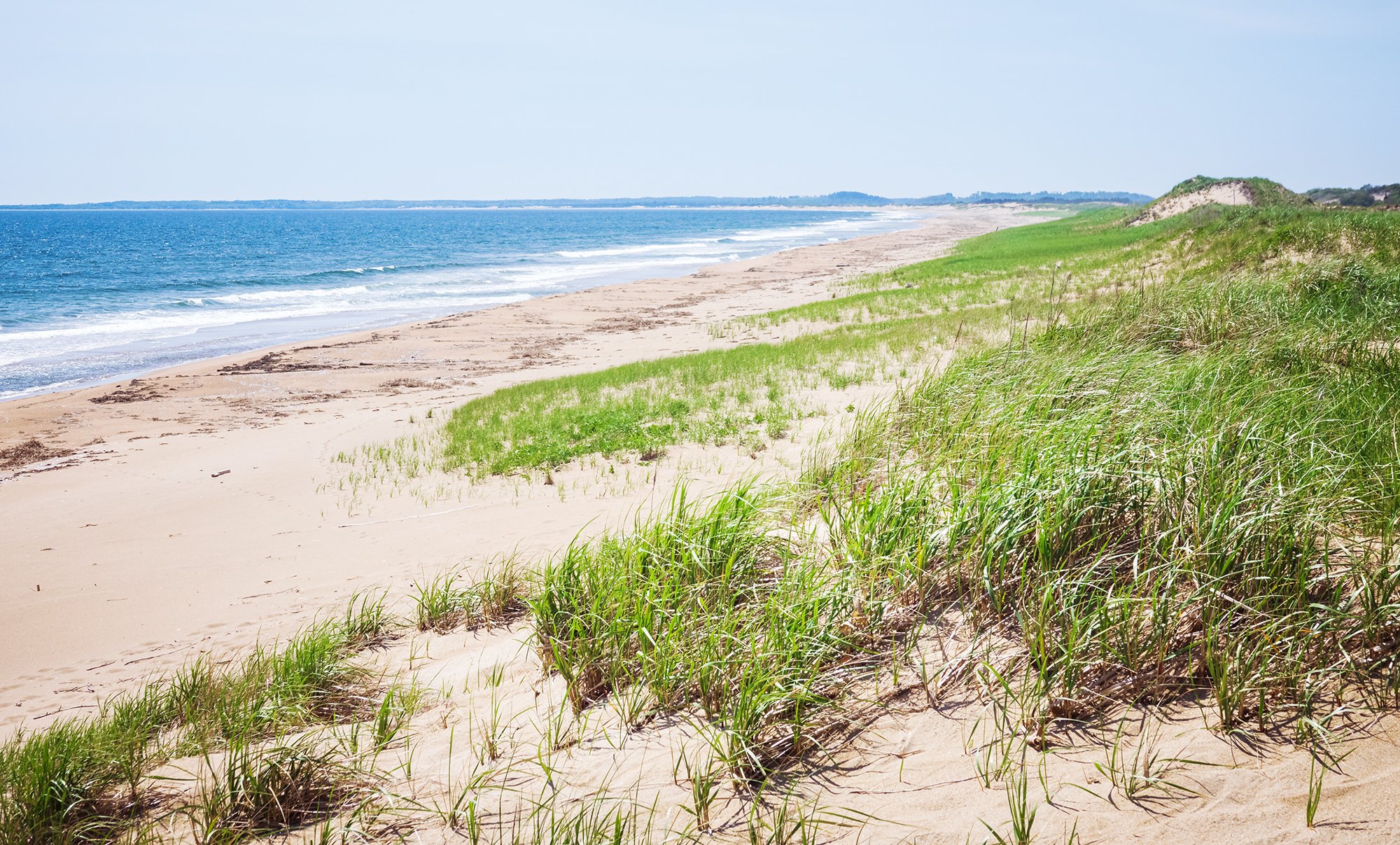 Plum Island