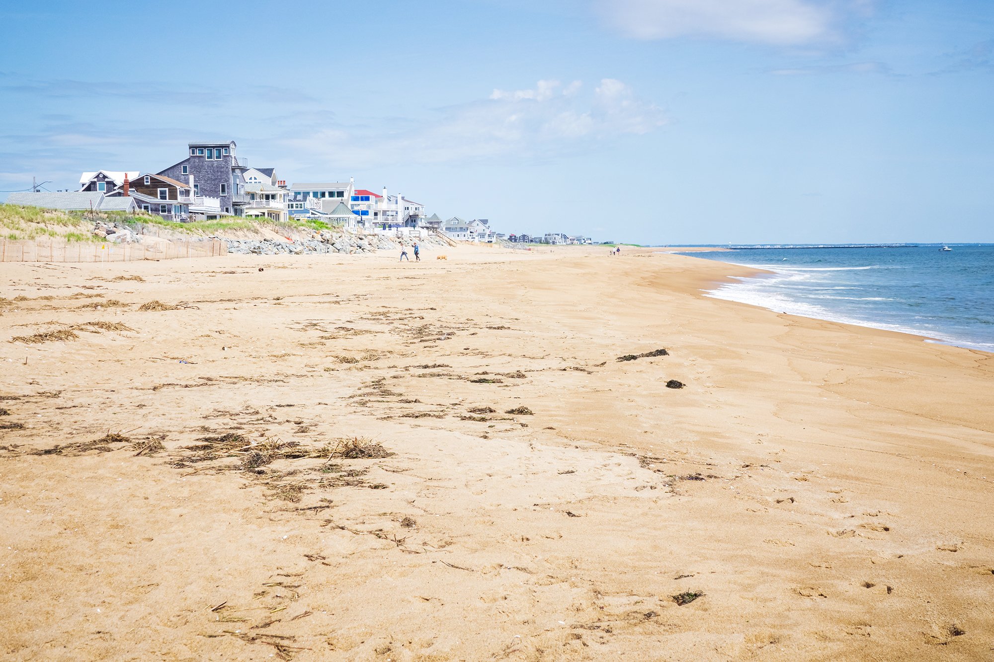 Plum Island