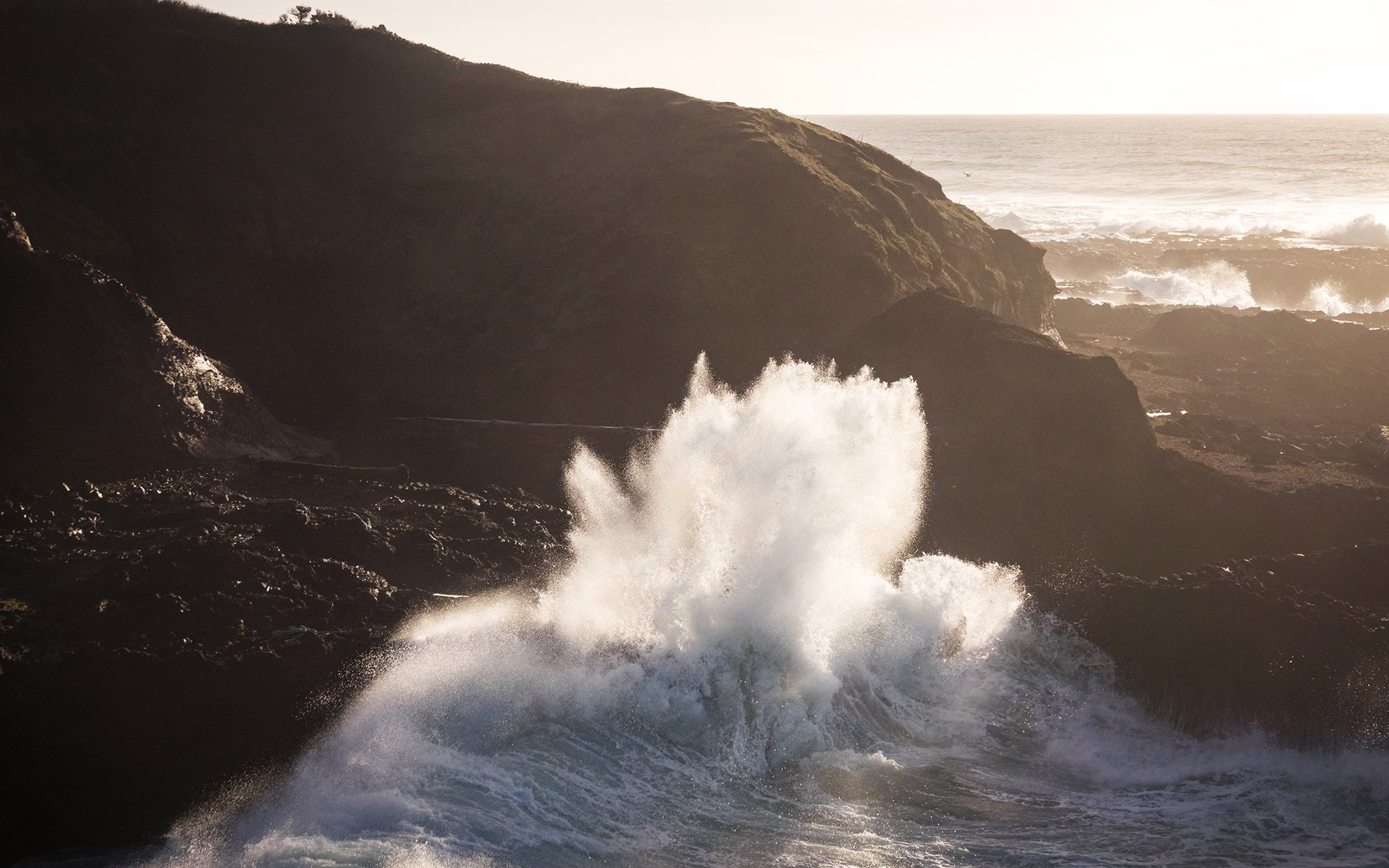 Cape Perpetua