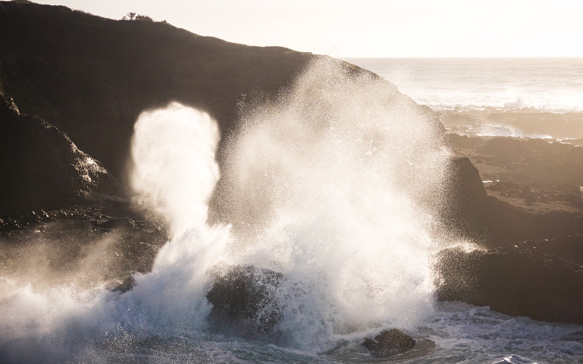 Cape Perpetua
