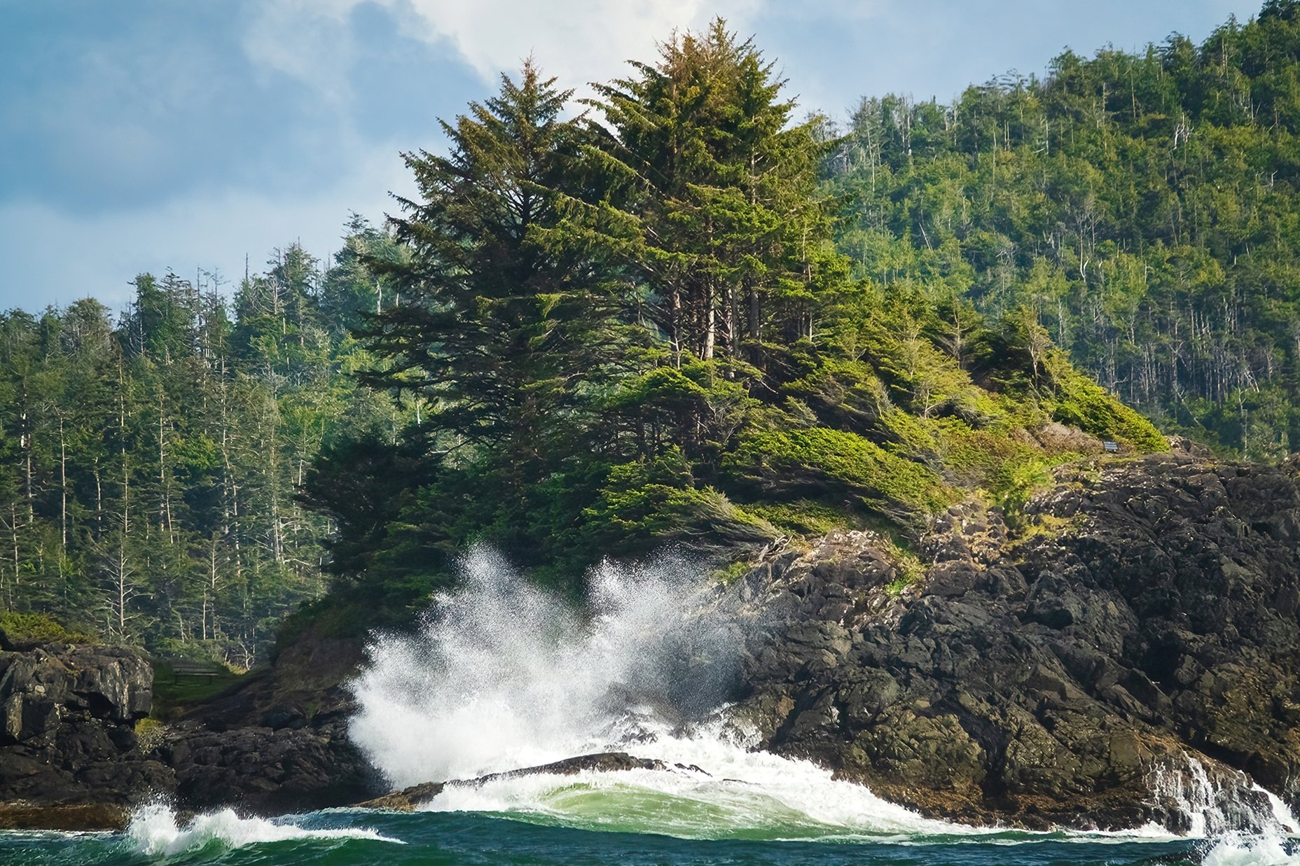 Chesterman Beach