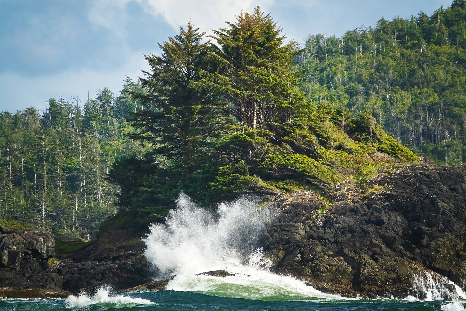 Chesterman Beach