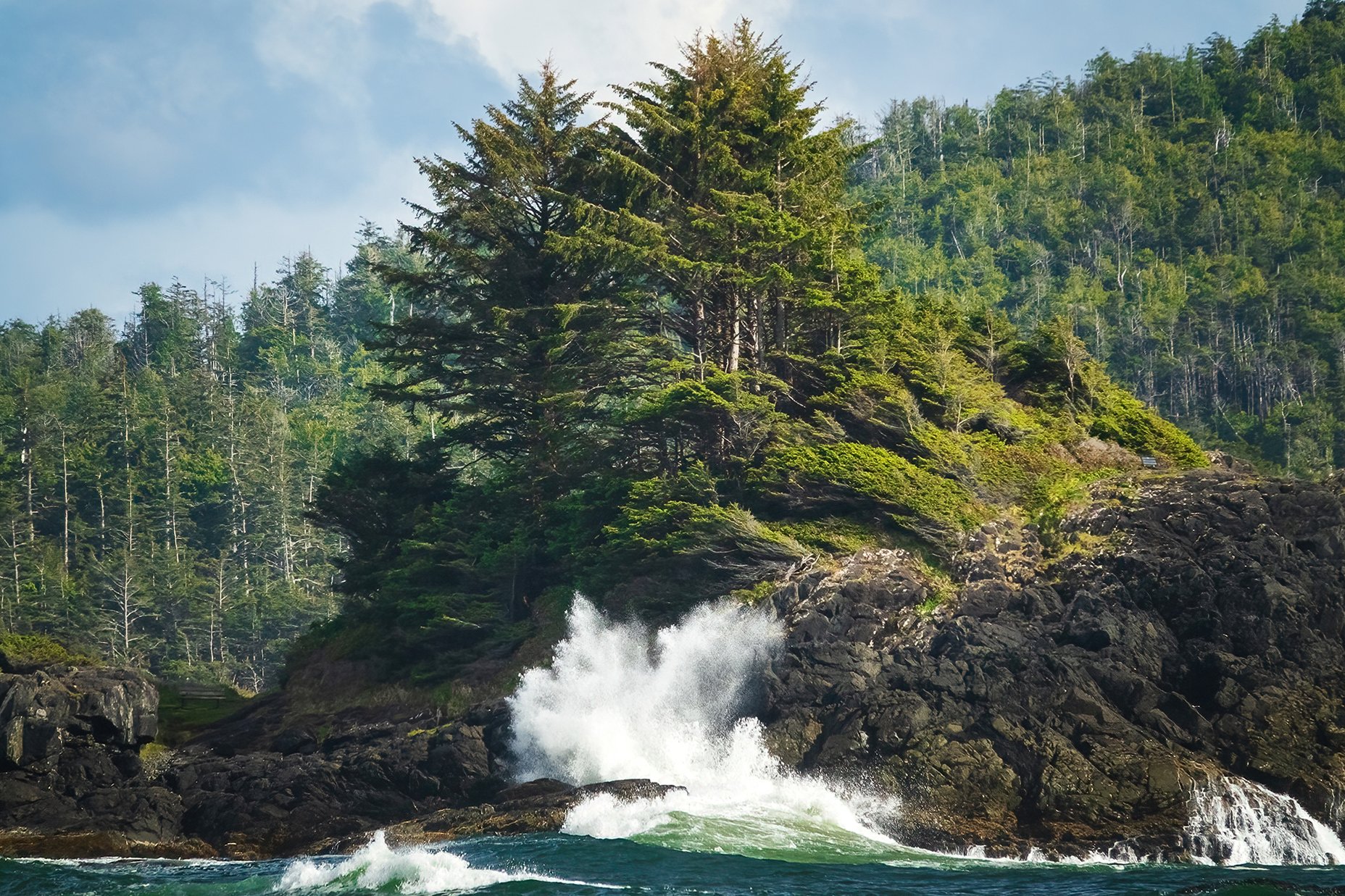 Chesterman Beach