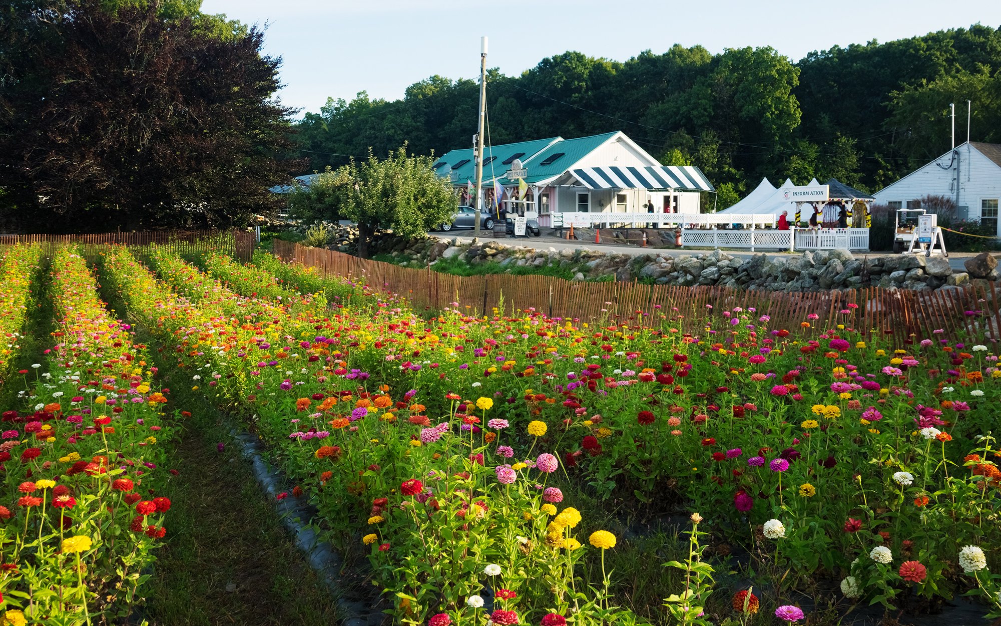 North Andover