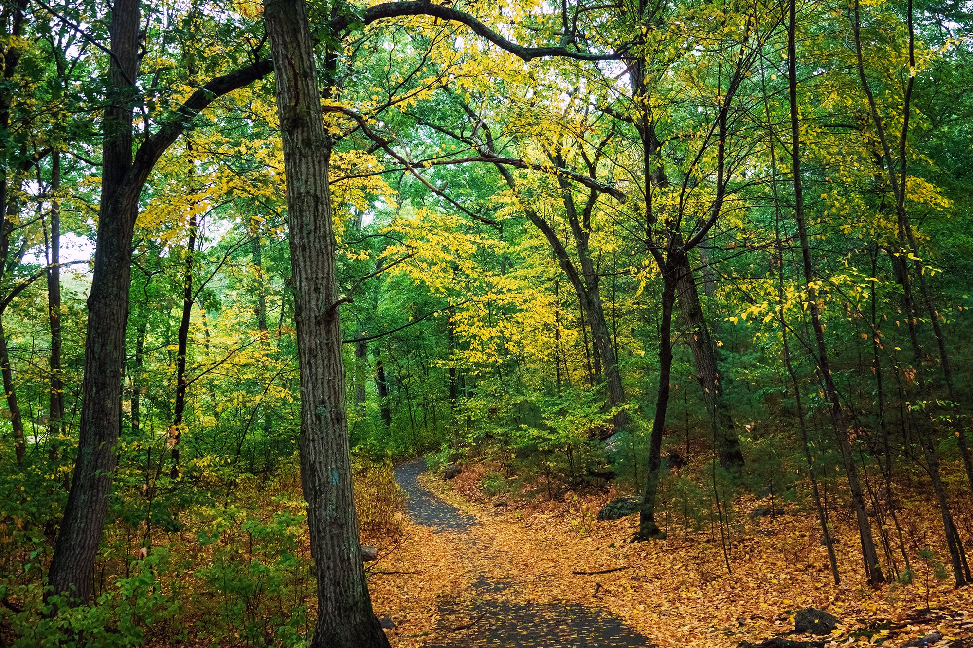 Stony Brook Reservation