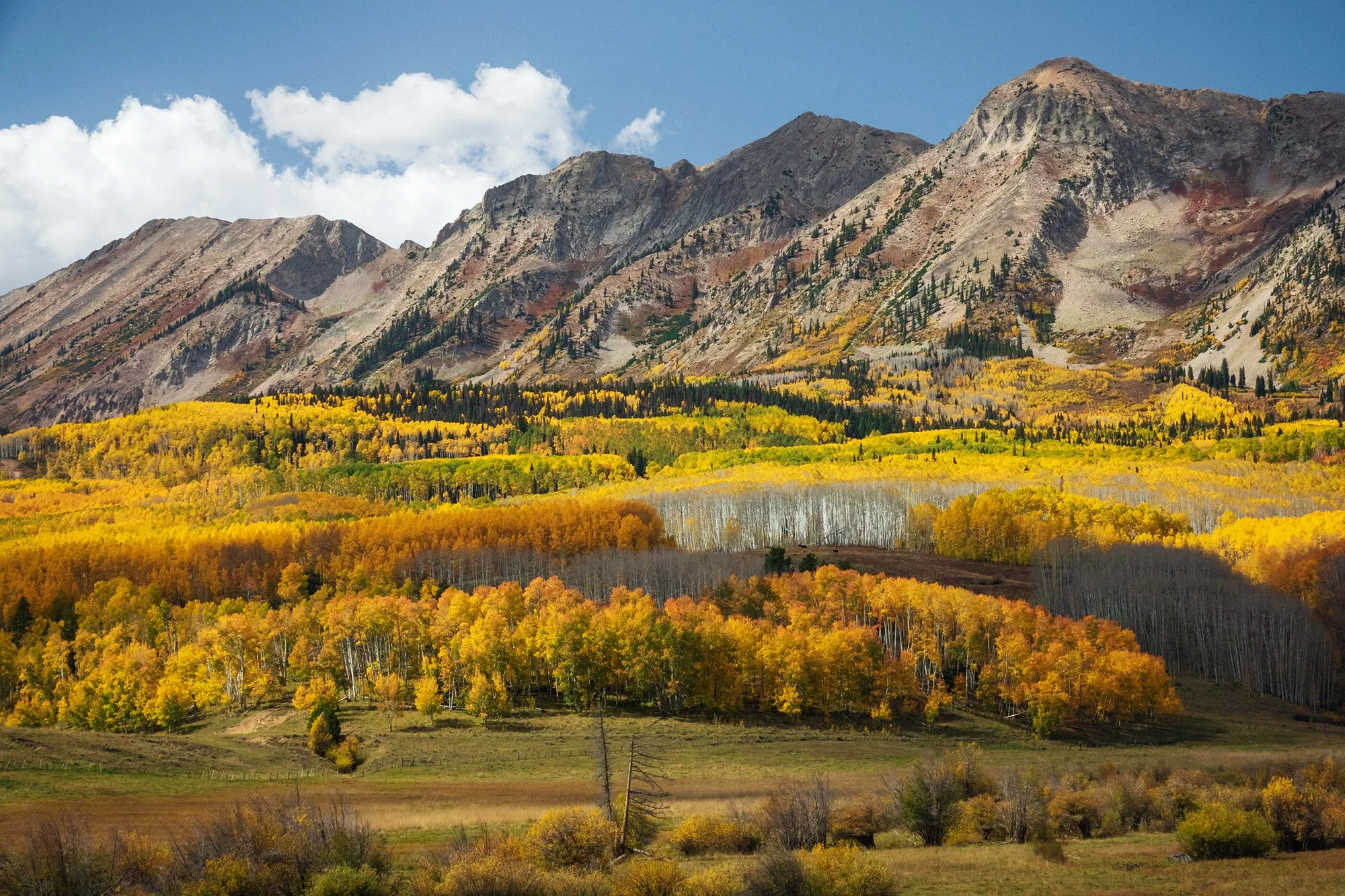 Gunnison National Forest