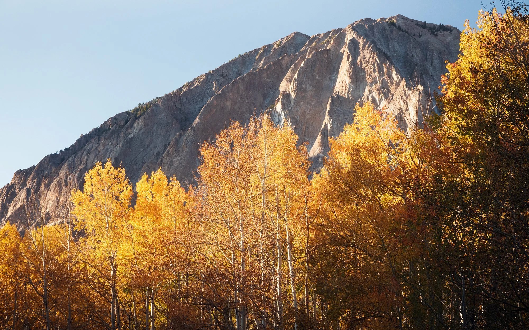 Gunnison National Forest
