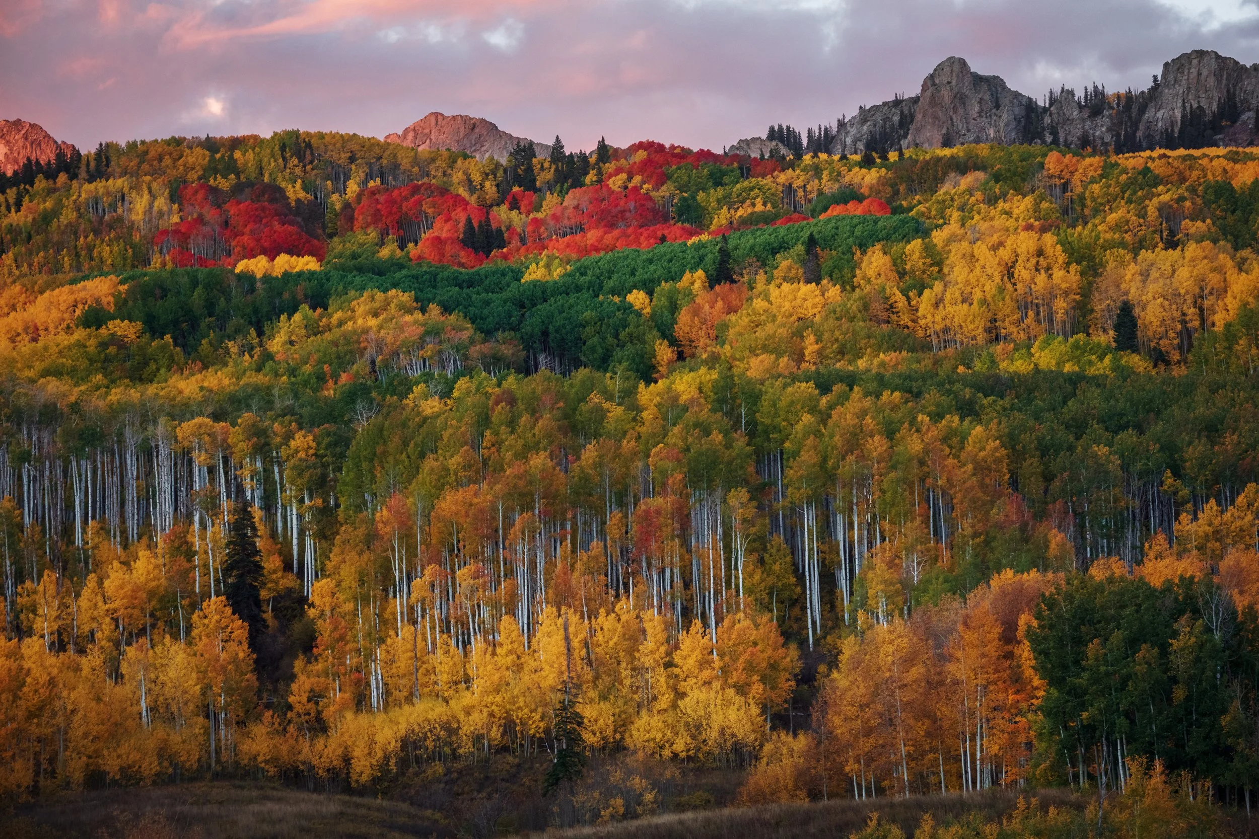 Gunnison National Forest