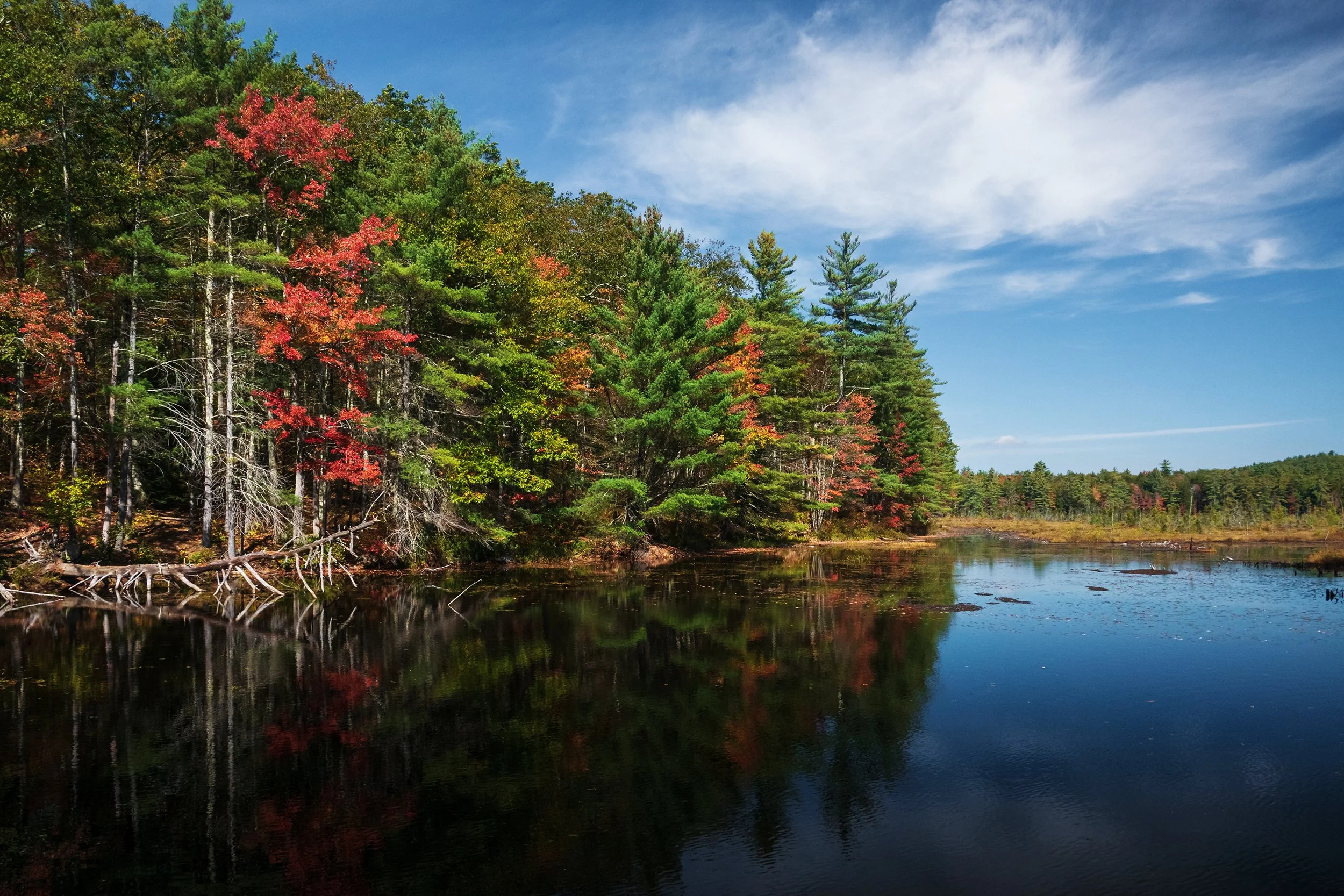 New Hampshire