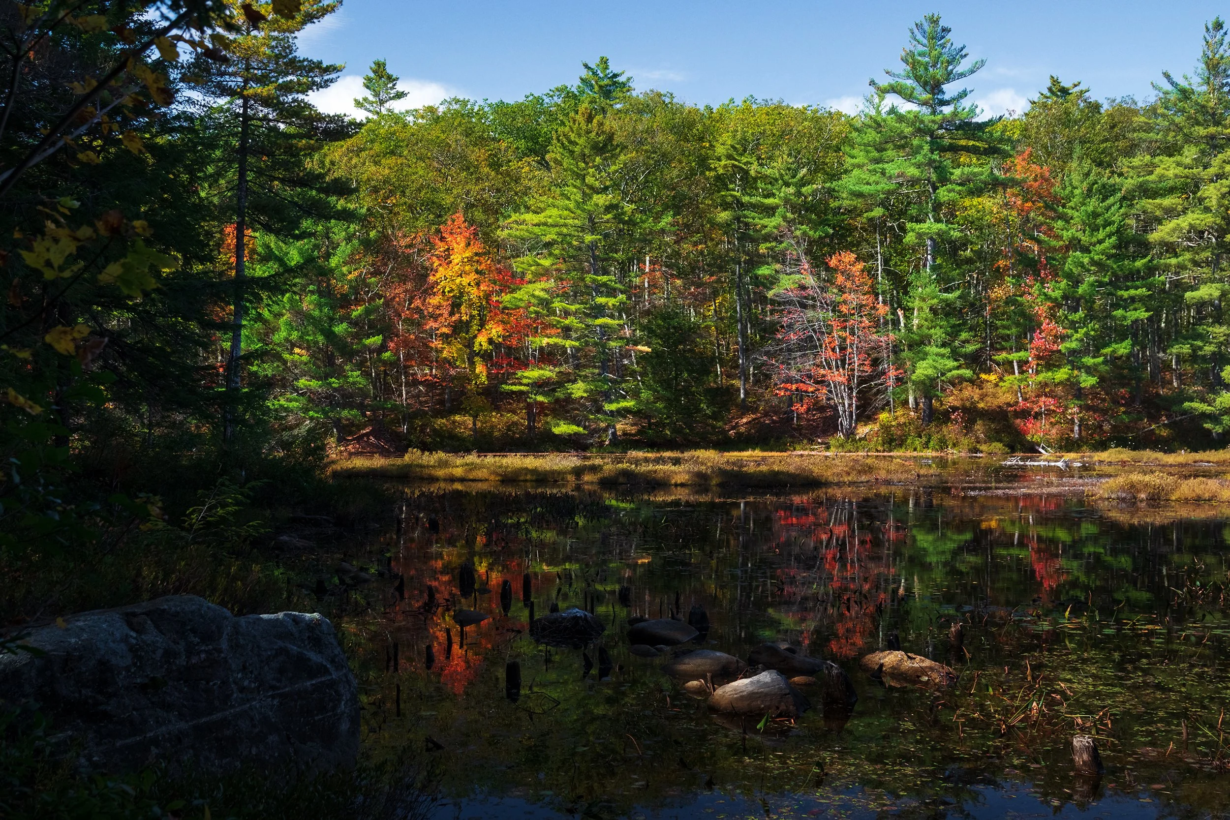 New Hampshire