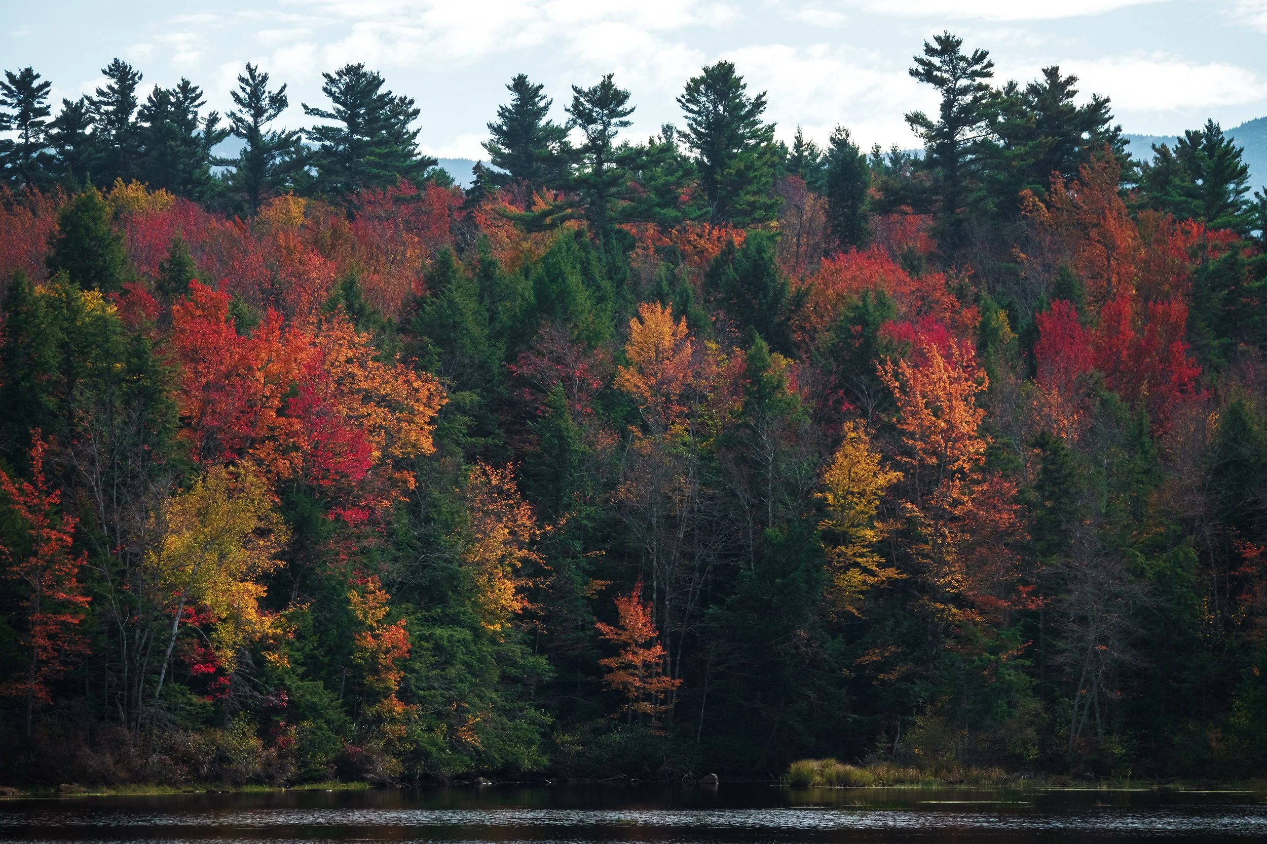 New Hampshire