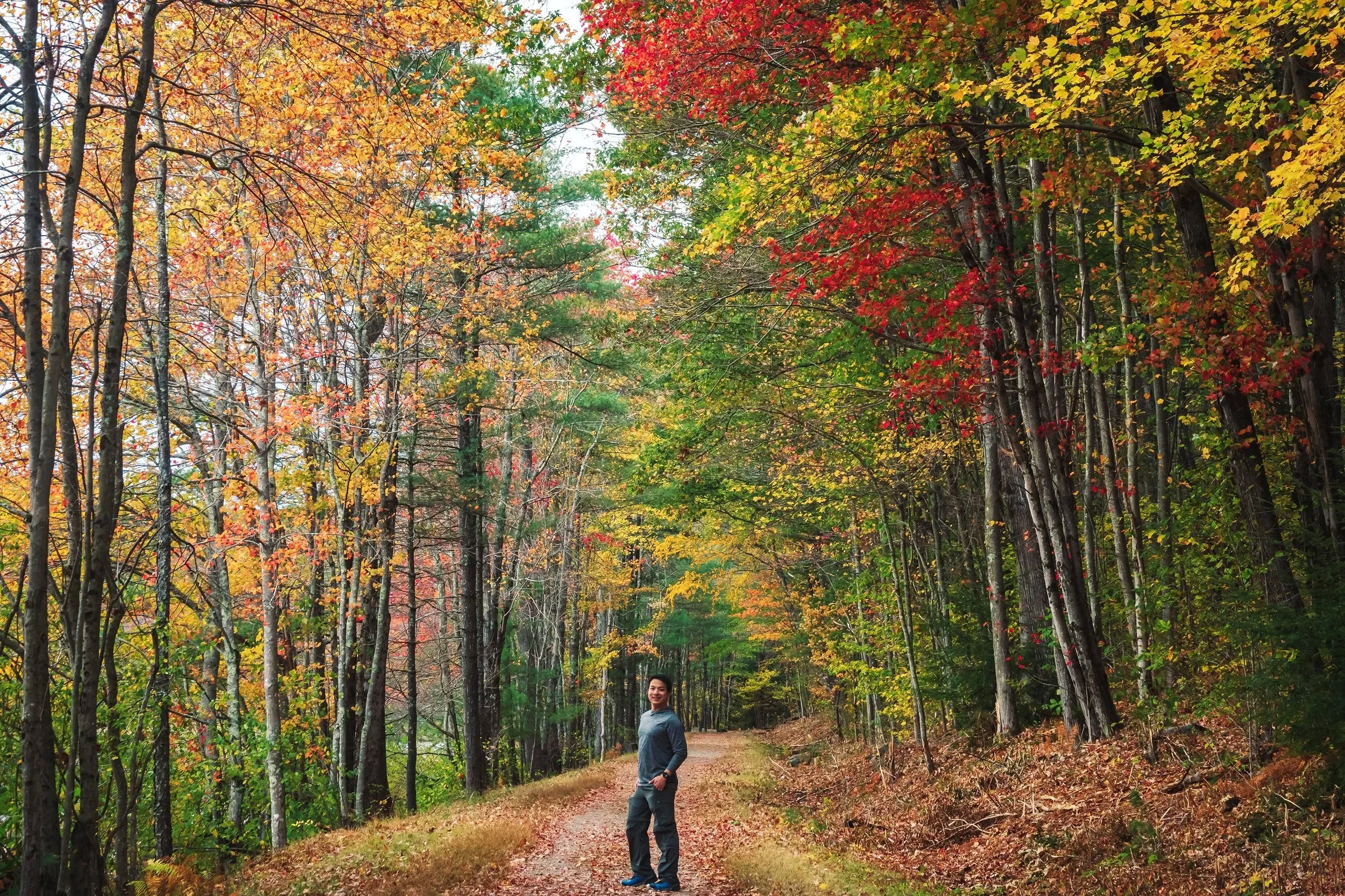 New Hampshire