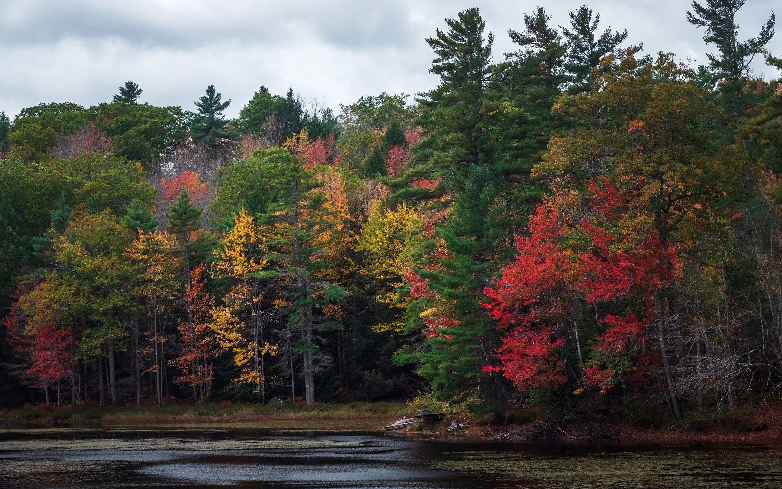 New Hampshire