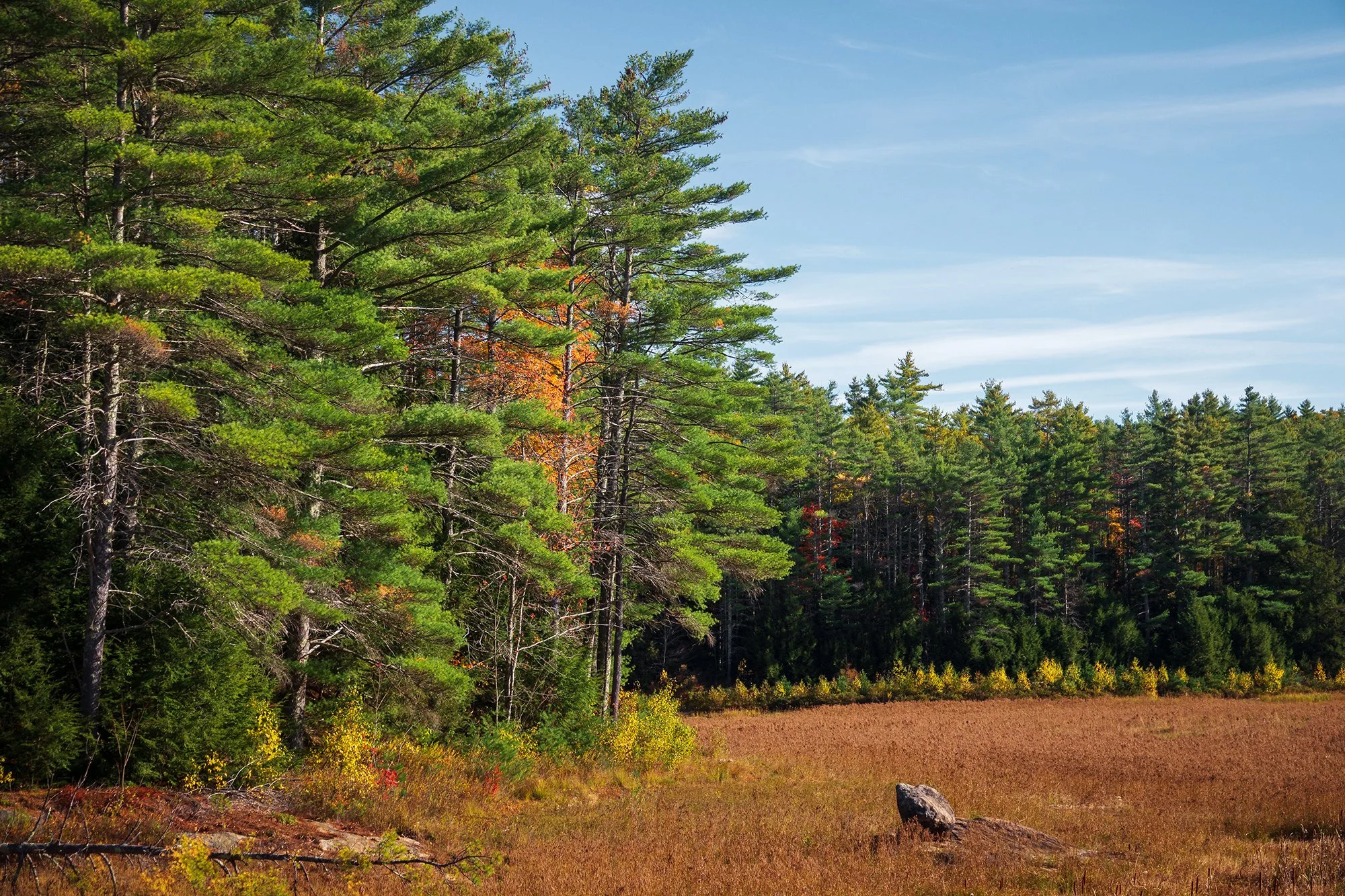 _DSC5154-1.jpg