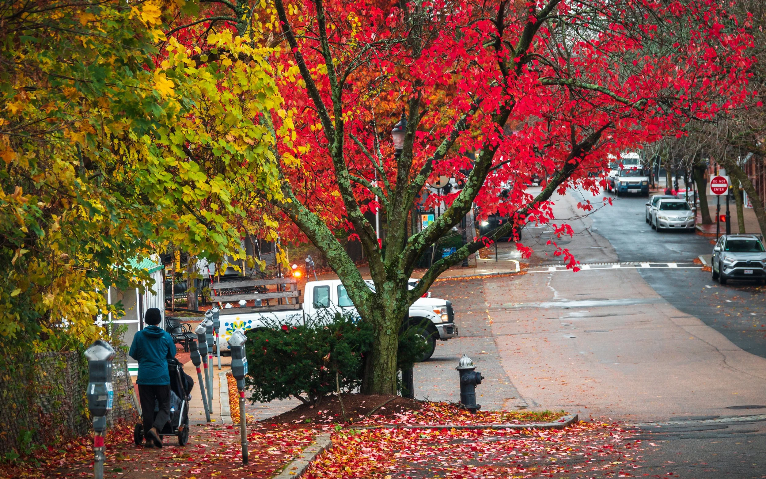 Brookline