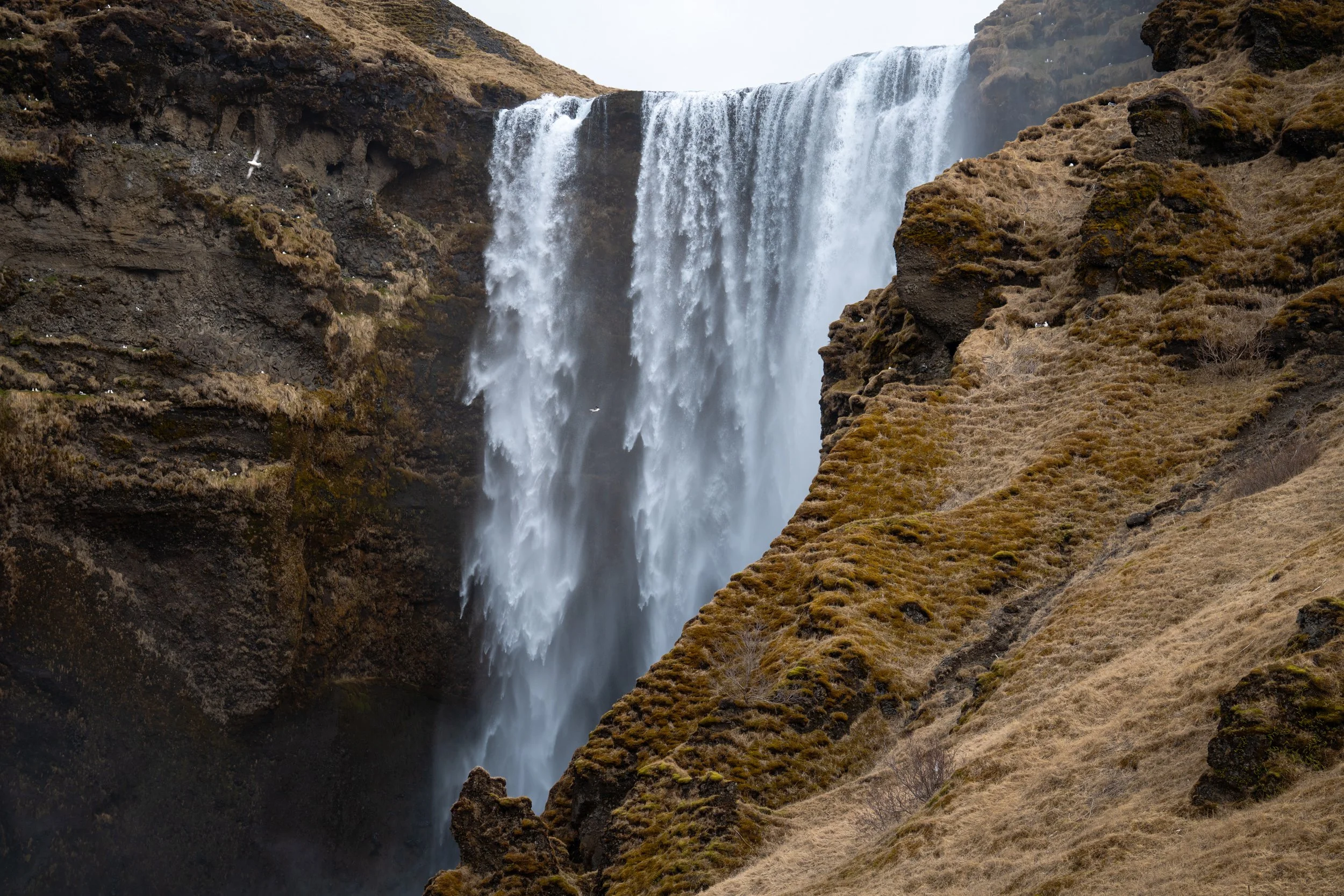 Skógafoss