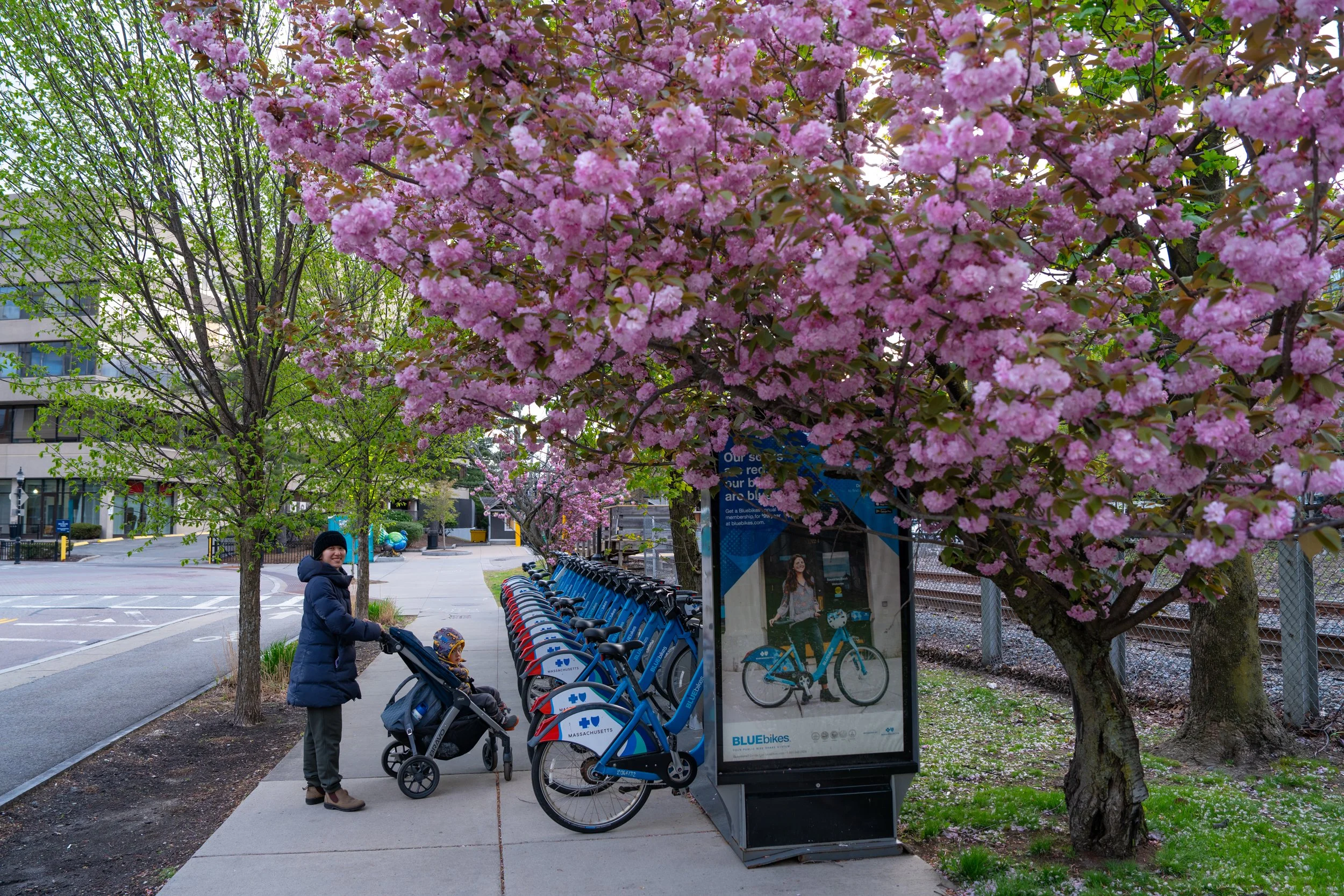 Brookline