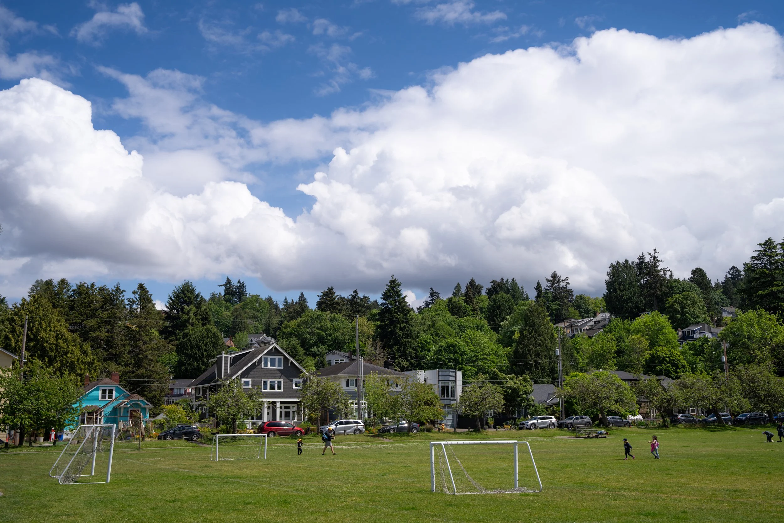 DSC02146-1.jpg