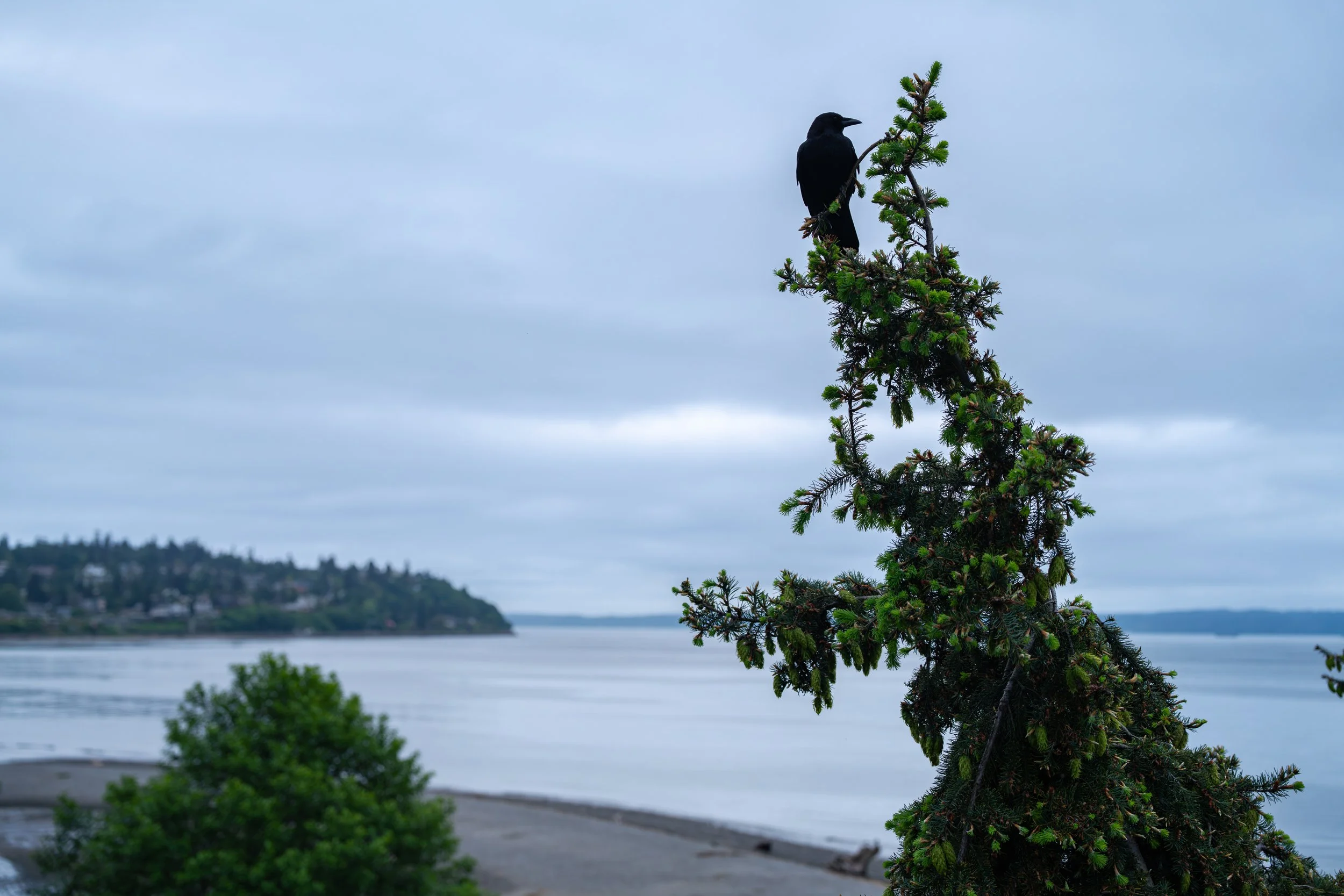 DSC02658-1.jpg