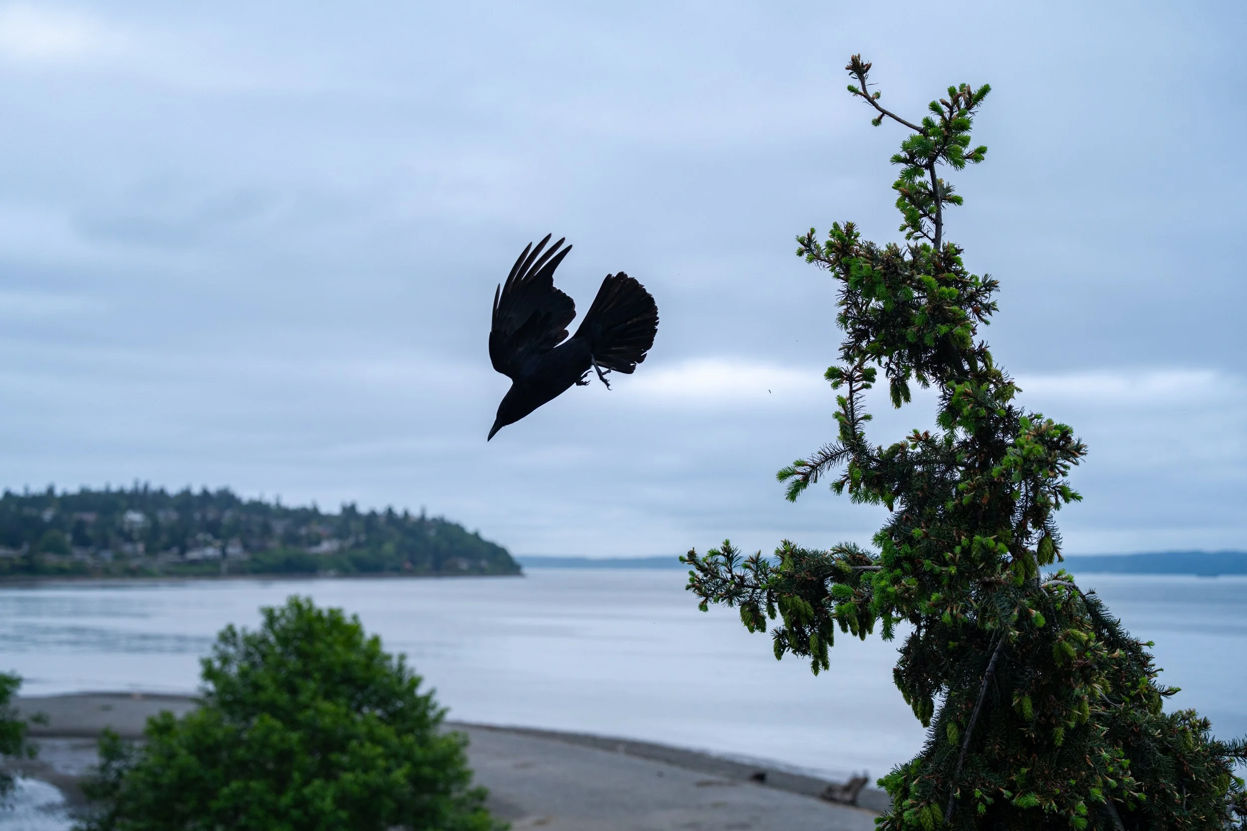 DSC02659-1.jpg