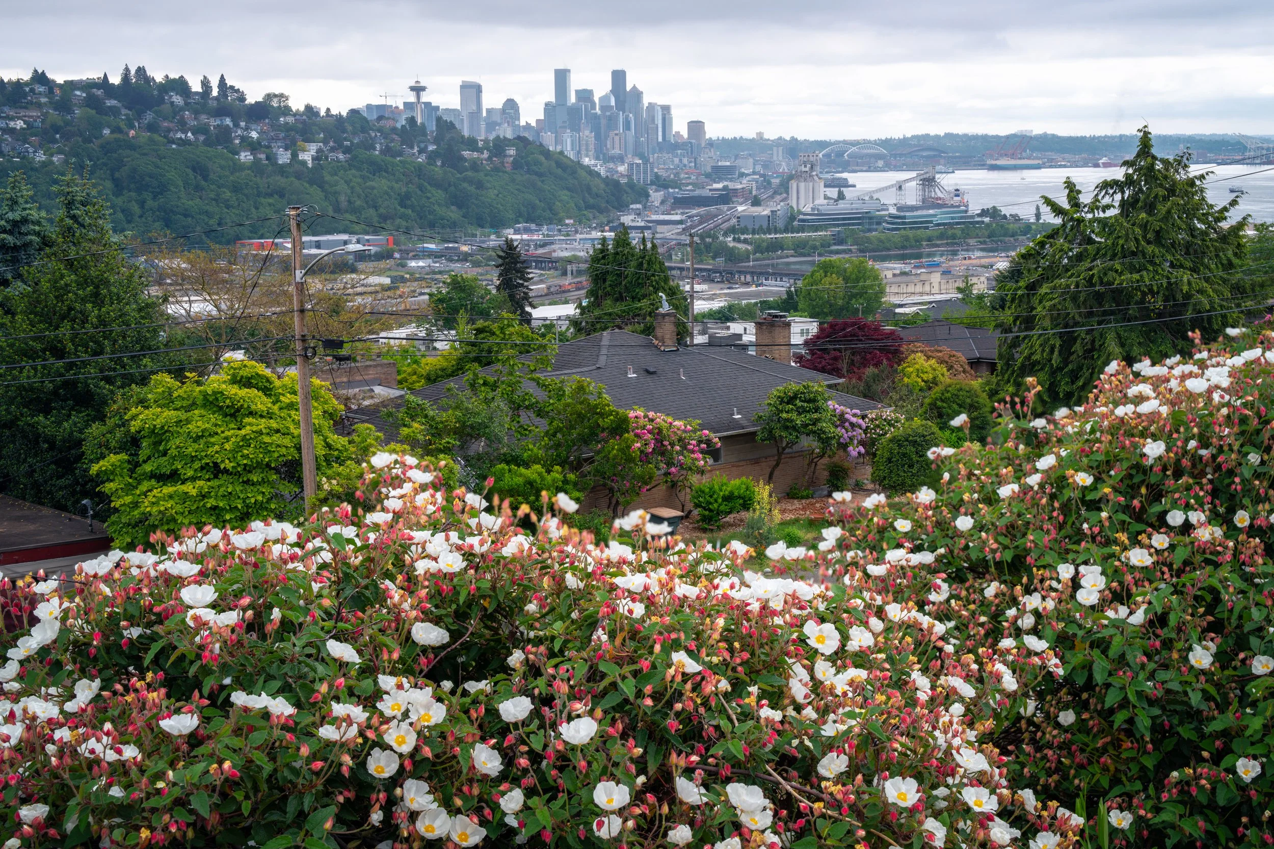 Seattle